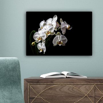 OneMillionCanvasses® Leinwandbild Orchidee - Blumen - Weiß - Natur - Schwarz, (1 St), Wandbild Leinwandbilder, Aufhängefertig, Wanddeko, 30x20 cm