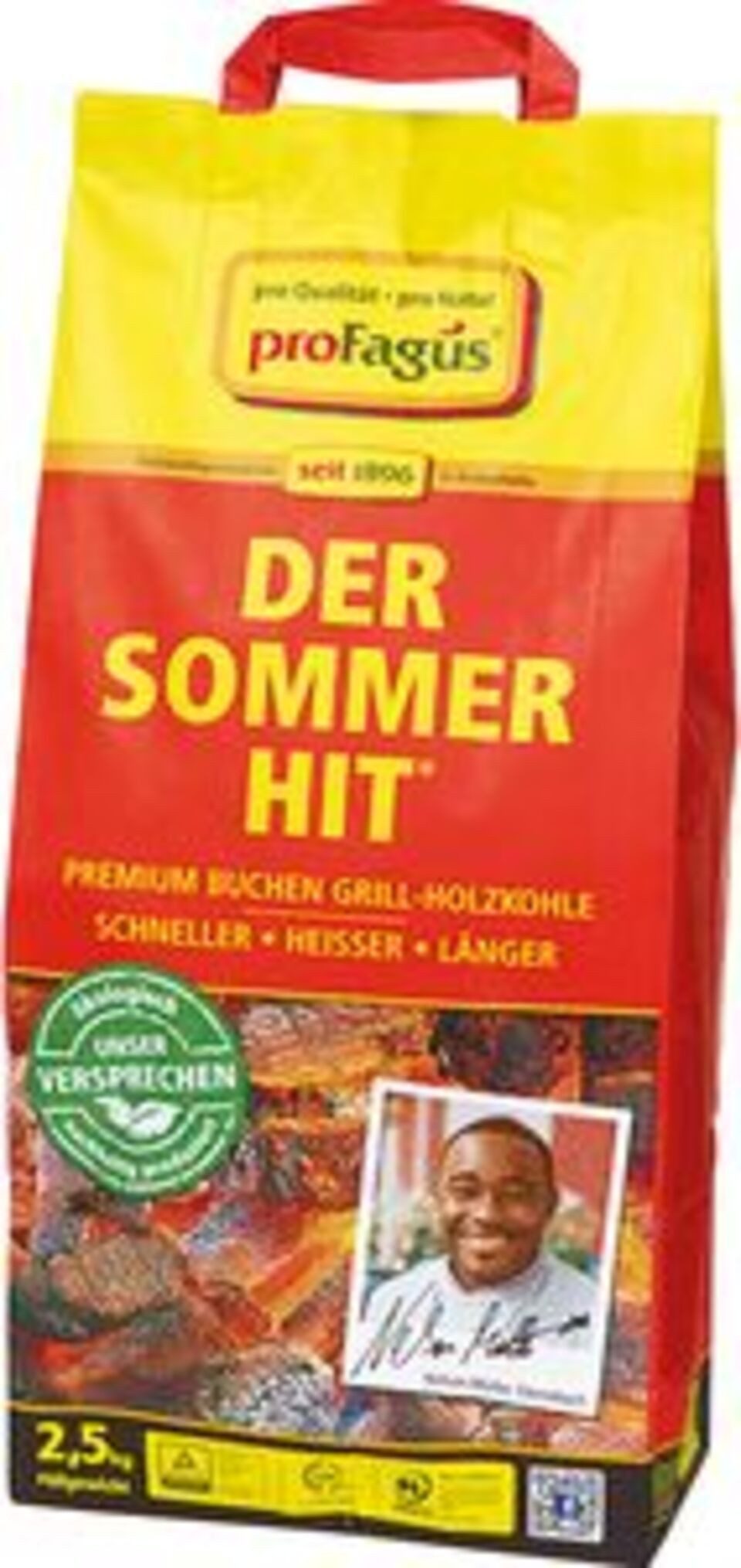 proFagus Holzkohle Sommerhit Holzkohle 2,5kg, (1-St)
