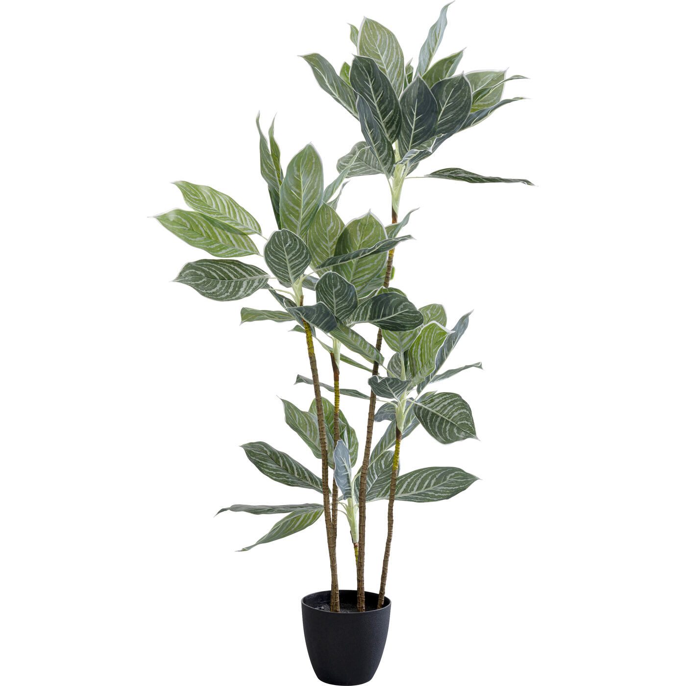 Künstliche Zimmerpflanze Calathea, Kare Design, Höhe 140.0 cm