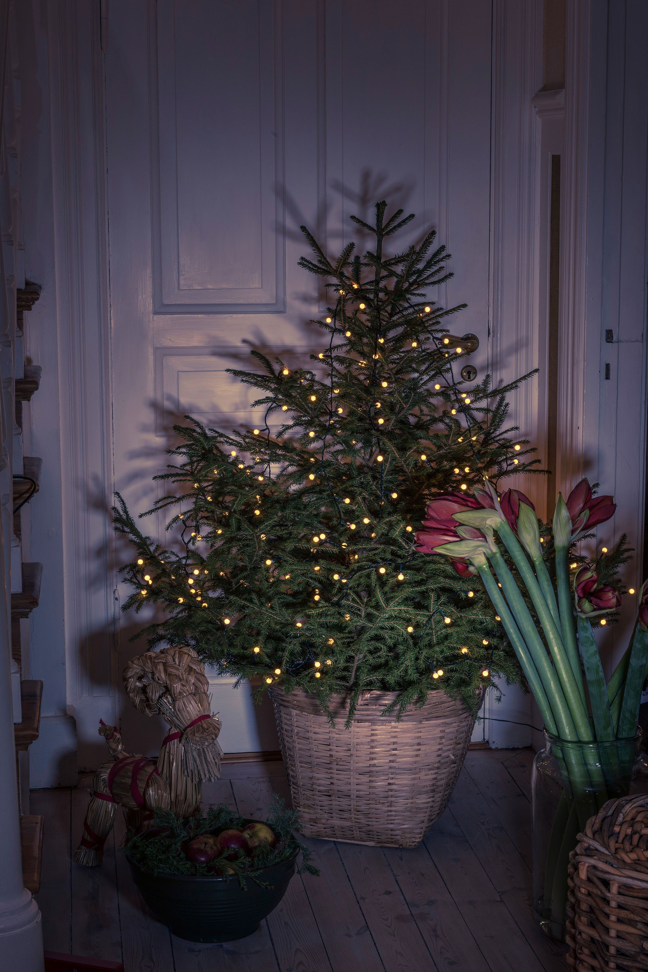 mit 5 Globes, KONSTSMIDE Lichterkette LED-Baummantel, 11, Dioden à Ø Stränge 50 Ring 250-flammig, mit LED