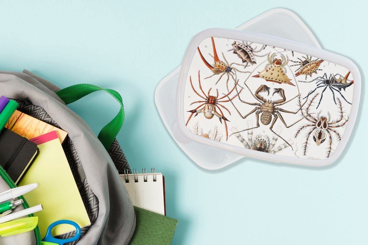 - Retro und Brotbox und Lunchbox Jungs - für weiß Erwachsene, Ernst - MuchoWow für Kunststoff, Haeckel Spinnen, Mädchen Brotdose, (2-tlg), Spinne Kinder