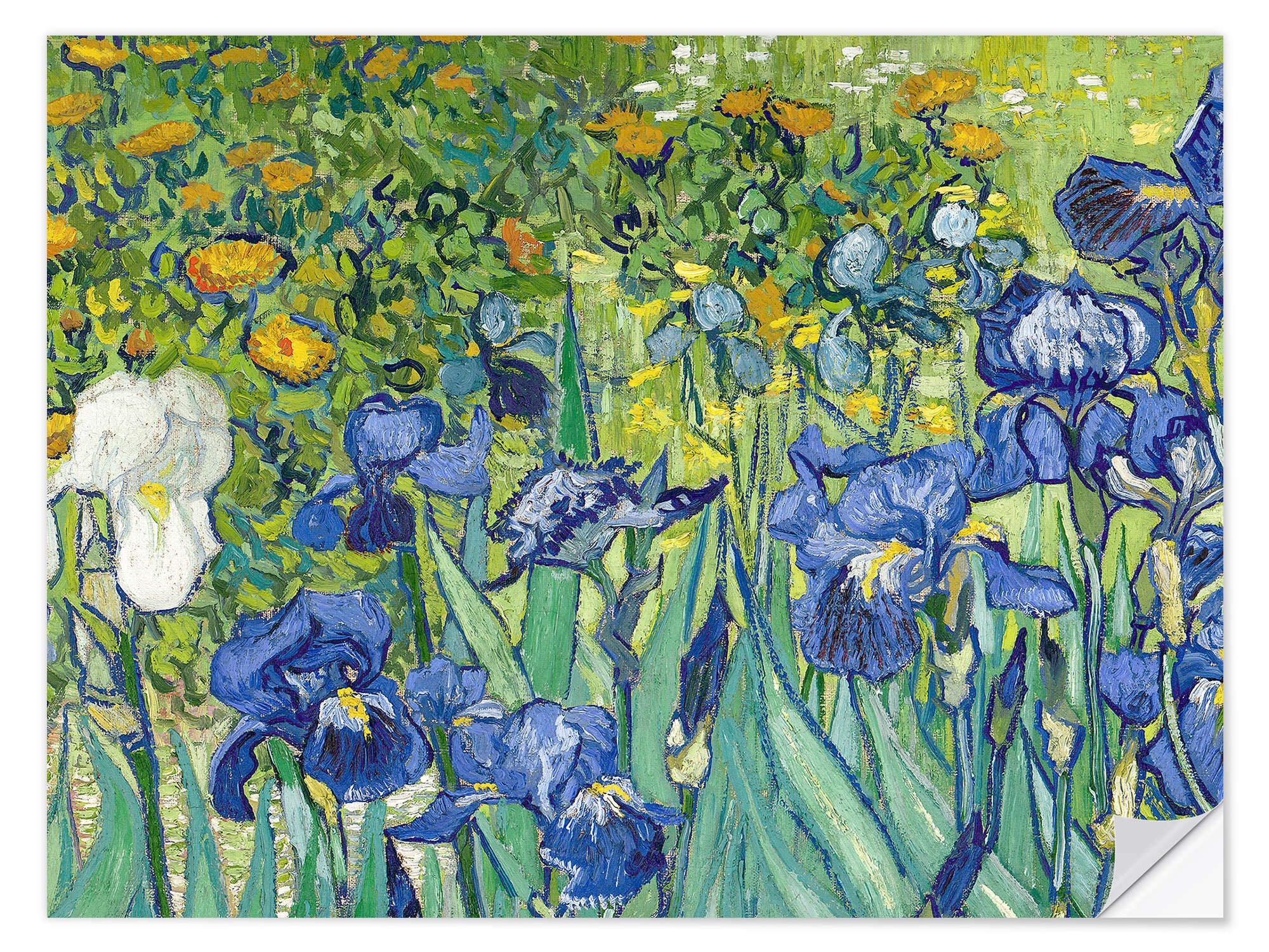 Wandfolie Vincent van Gogh
