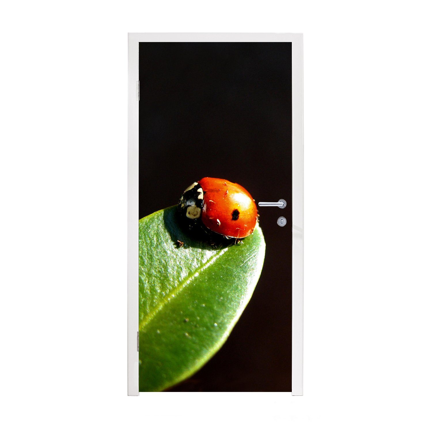 MuchoWow Türtapete Marienkäfer Blatt schwarzer Hintergrund, Matt, bedruckt, (1 St), Fototapete für Tür, Türaufkleber, 75x205 cm