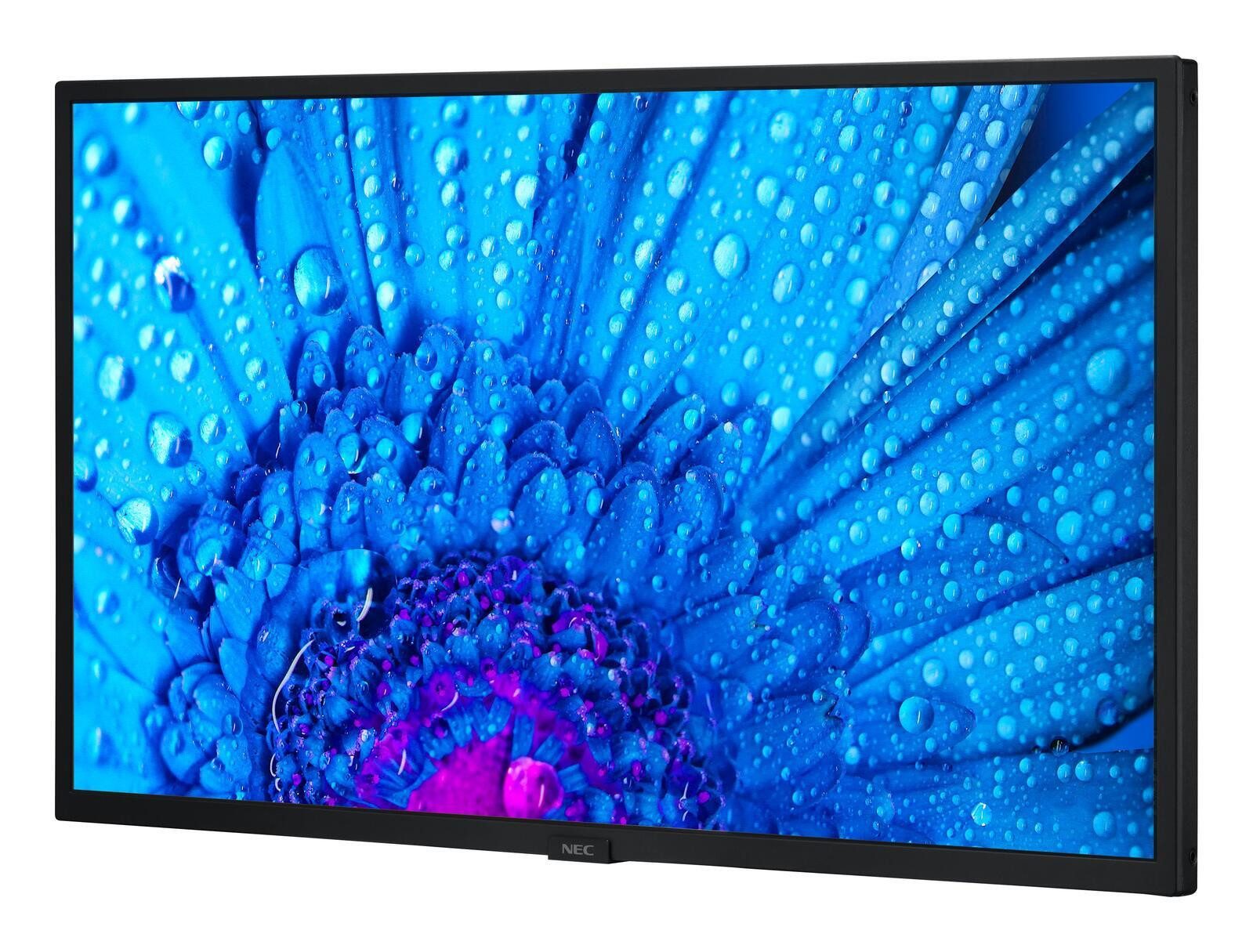 Sharp NEC MultiSync M321 LED-Monitor (1920 x 1080, 8 ms Reaktionszeit, 60 Hz, IPS Panel)