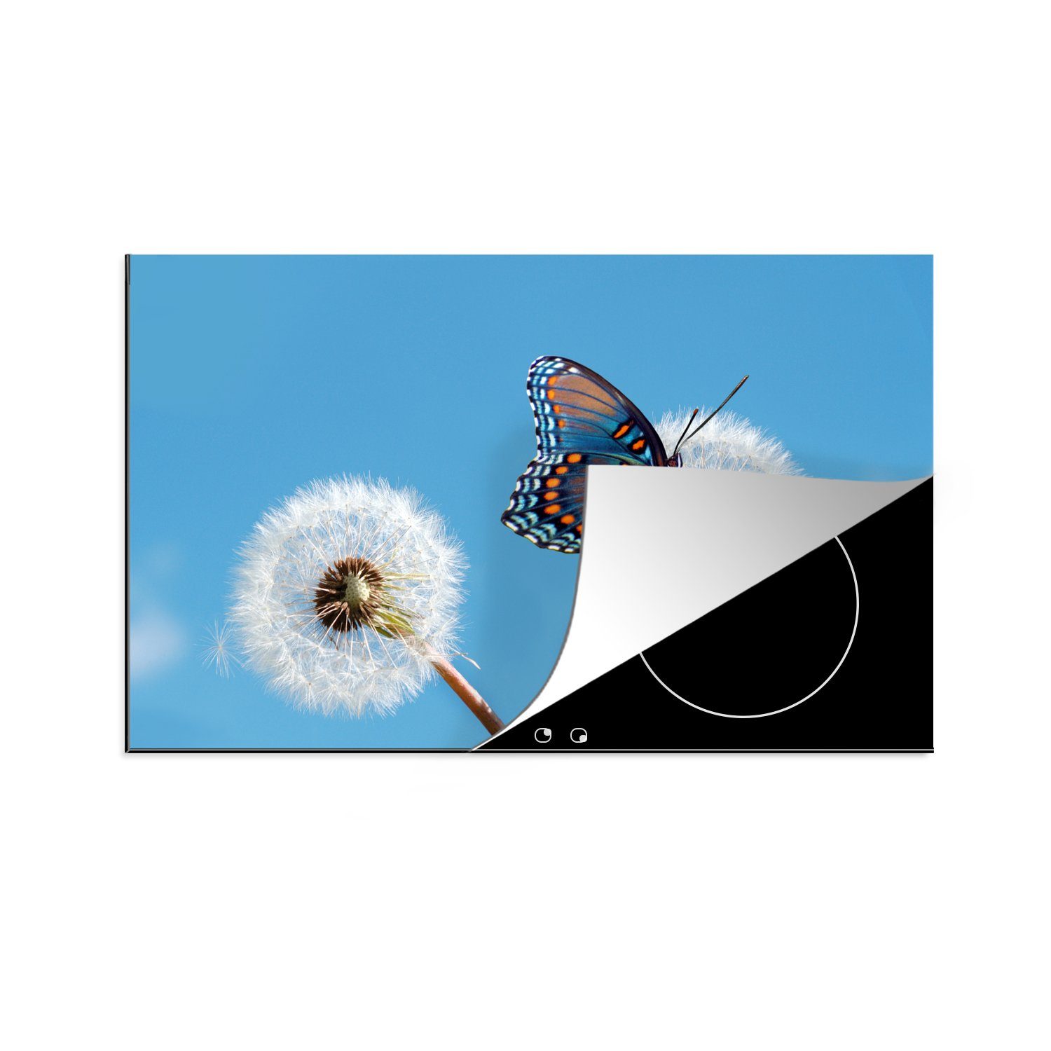 blauer die cm, Induktionskochfeld Schmetterling Löwenzahn, einem 81x52 Schutz auf Ceranfeldabdeckung Herdblende-/Abdeckplatte Nahaufnahme für (1 küche, tlg), Vinyl, MuchoWow