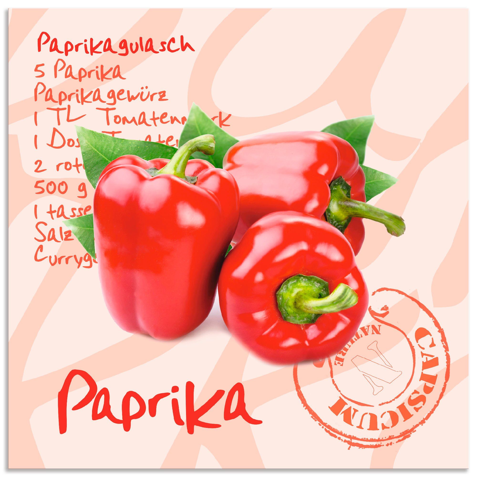 Artland Alu-Dibond-Druck Paprika liegt auf weißen Untergrund, Lebensmittel (1 St), für Innen- und Außenbereich geeignet, Outdoorbild