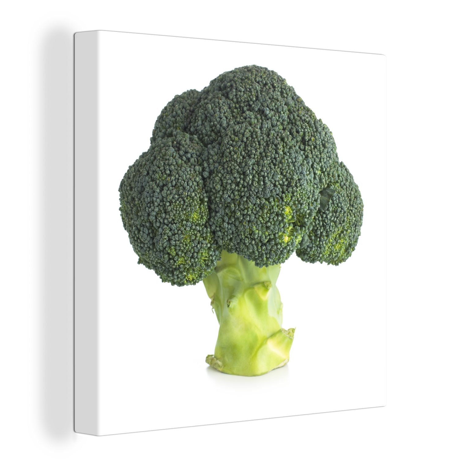 OneMillionCanvasses® Leinwandbild Brokkoli Hintergrund, für Bilder vor Schlafzimmer weißen einem (1 Leinwand St), Wohnzimmer