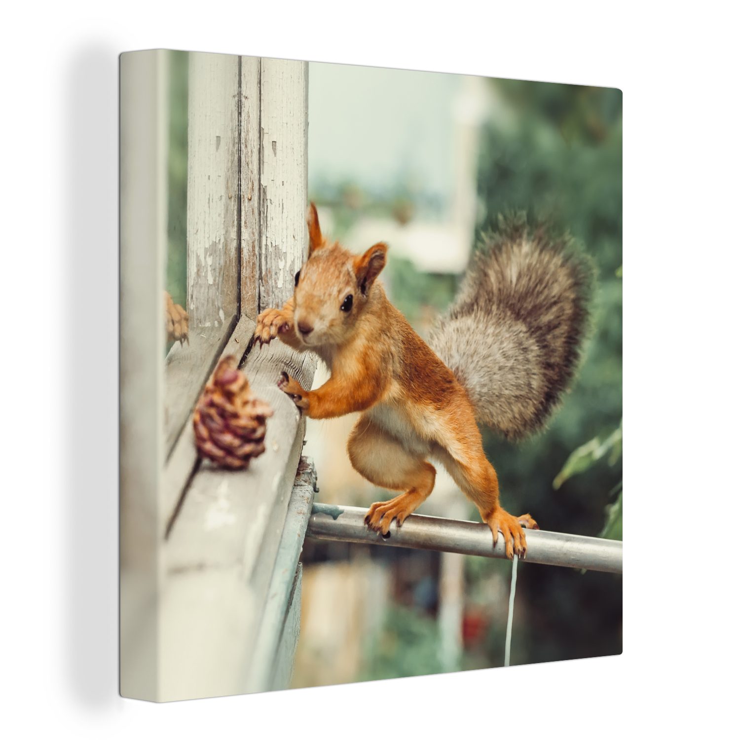 OneMillionCanvasses® Leinwandbild Eichhörnchen - Fenster - Herbst - Tannenzapfen, (1 St), Leinwand Bilder für Wohnzimmer Schlafzimmer