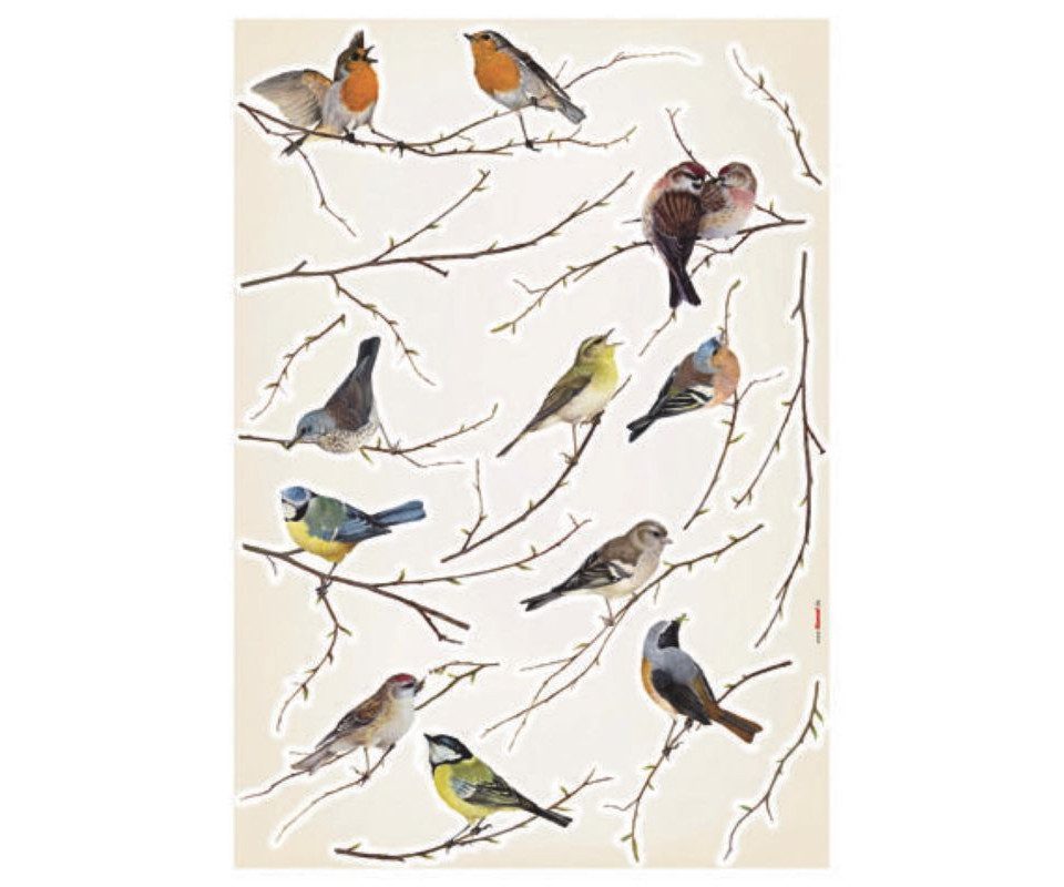 Komar Wandfolie Komar Decosticker Vogel 50 x 70 cm, Tiere