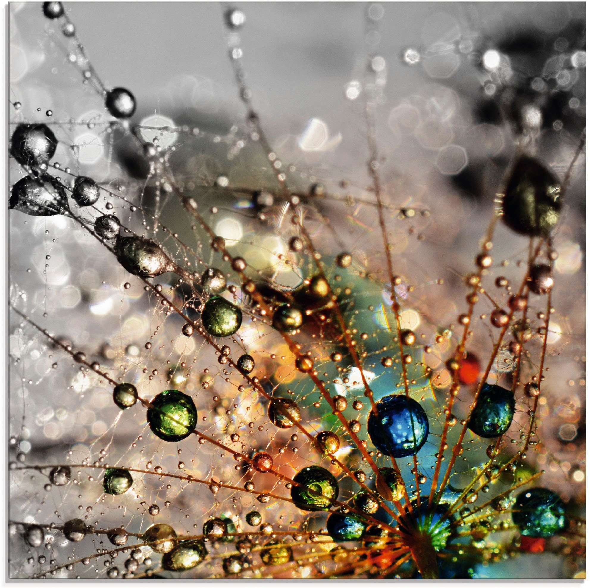 Artland Glasbild Farbenfrohe Natur, Blumen (1 St), in verschiedenen Größen günstig online kaufen