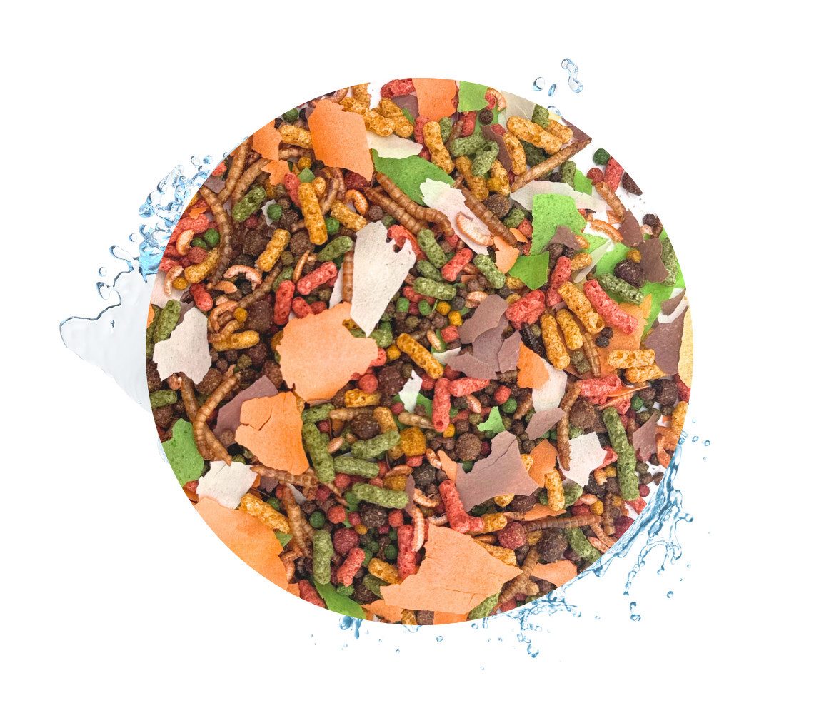 Warnick´s Tierfutterservice Fischfreude 360° - fördert Farbpracht, Vitalität und Wachstum 5 Liter im Eimer, Hauptfutter für: Fische