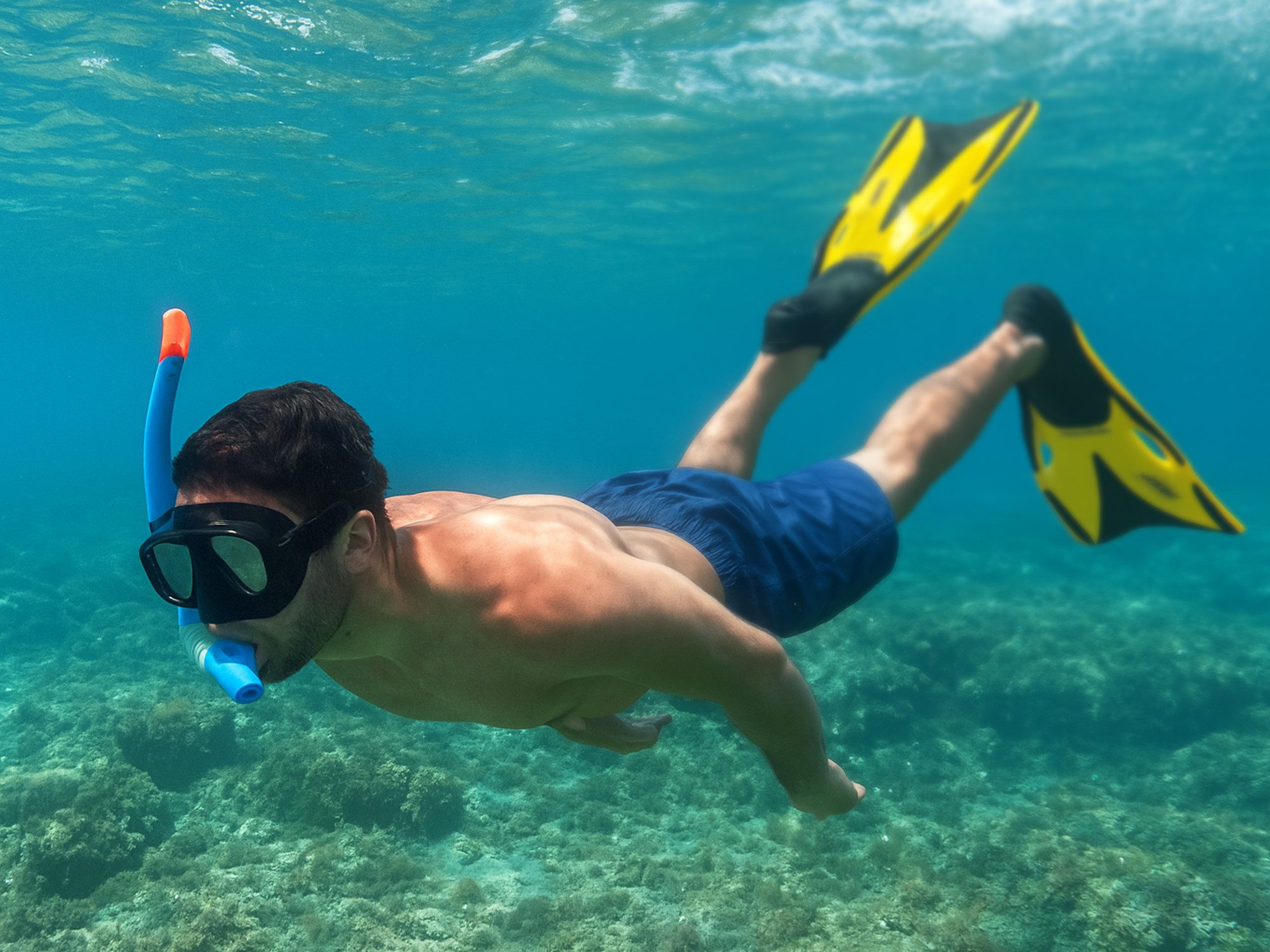 Aqua Lung Sport Flosse Taucherflossen zum Schnorcheln und Schwimmen - Powerflex (Damen und Herren Schnorchelflossen (verstellbar), 1 St., Lang), Größenverstellbare Schwimmflossen für Erwachsene und Jugendliche