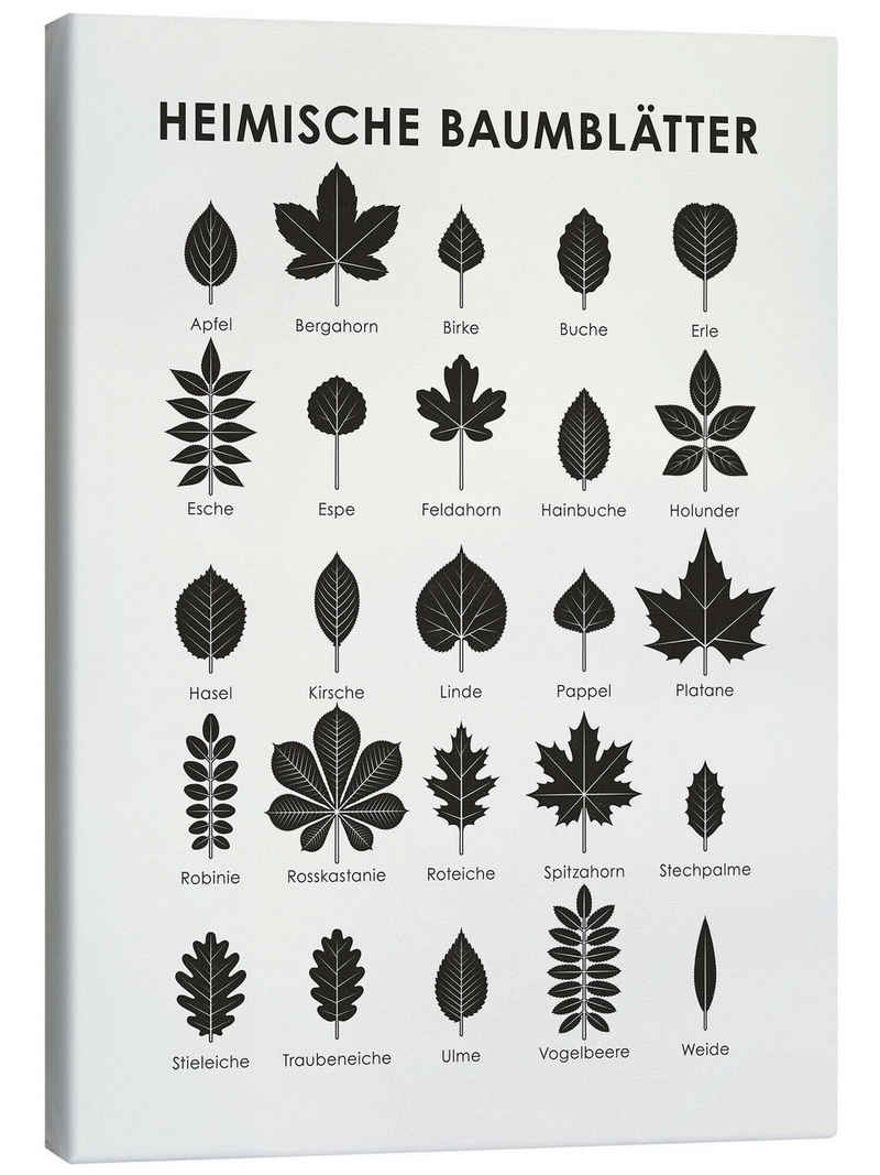 Posterlounge Leinwandbild Iris Luckhaus, Heimische Baumblätter, Klassenzimmer Skandinavisch Grafikdesign