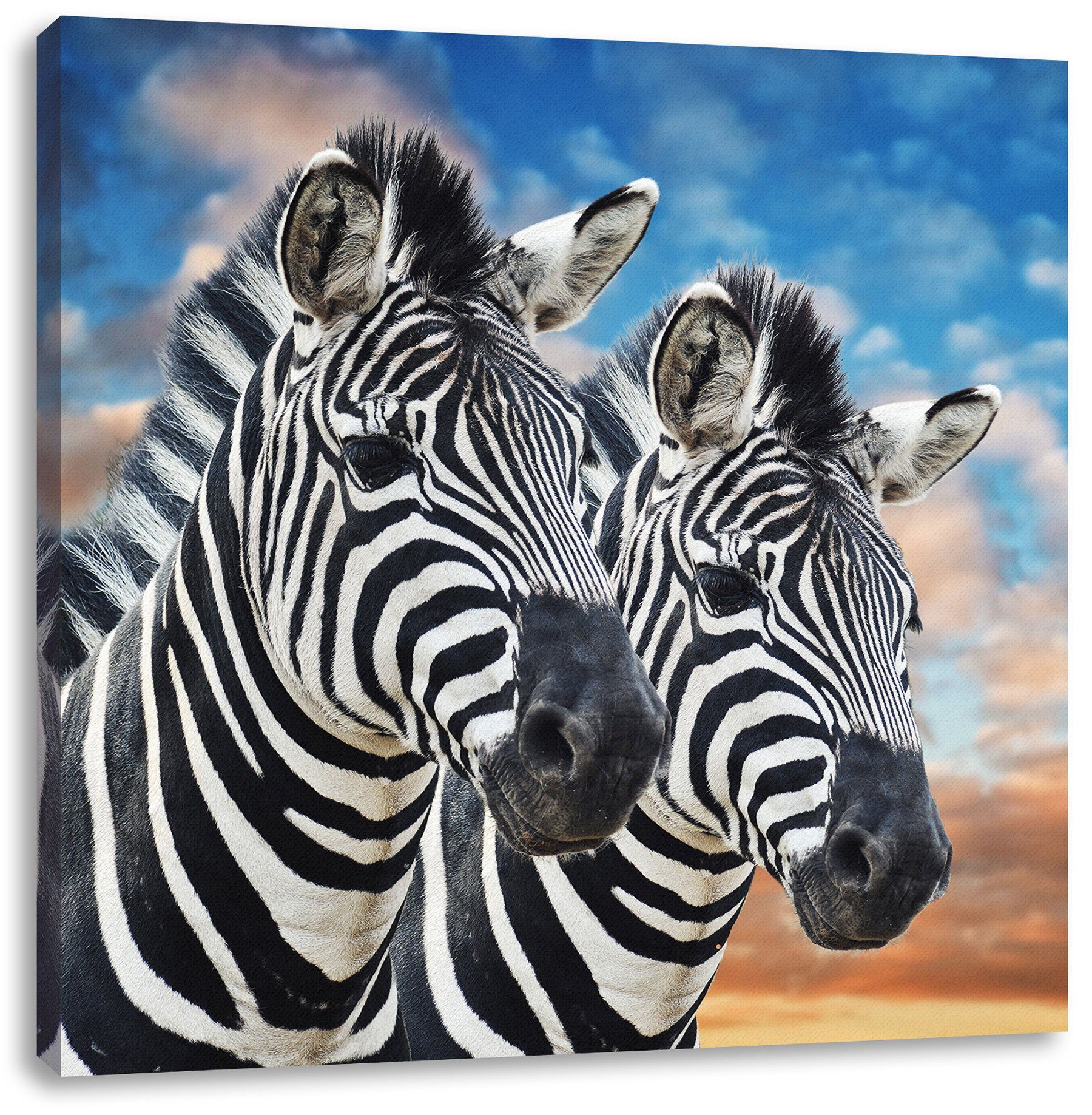 Besondere Funktion Pixxprint Leinwandbild Zebra Zebra Pärchen (1 fertig bespannt, Leinwandbild inkl. St), Pärchen, Zackenaufhänger