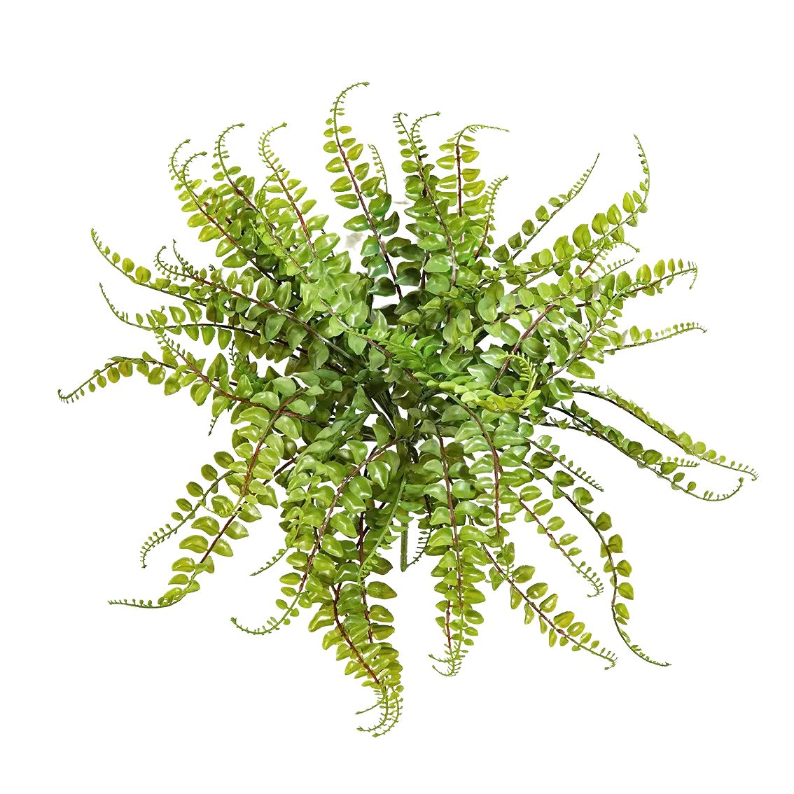 Kunstpflanze Künstlicher Streifenfarn - Carolina, 40 cm, aplanta