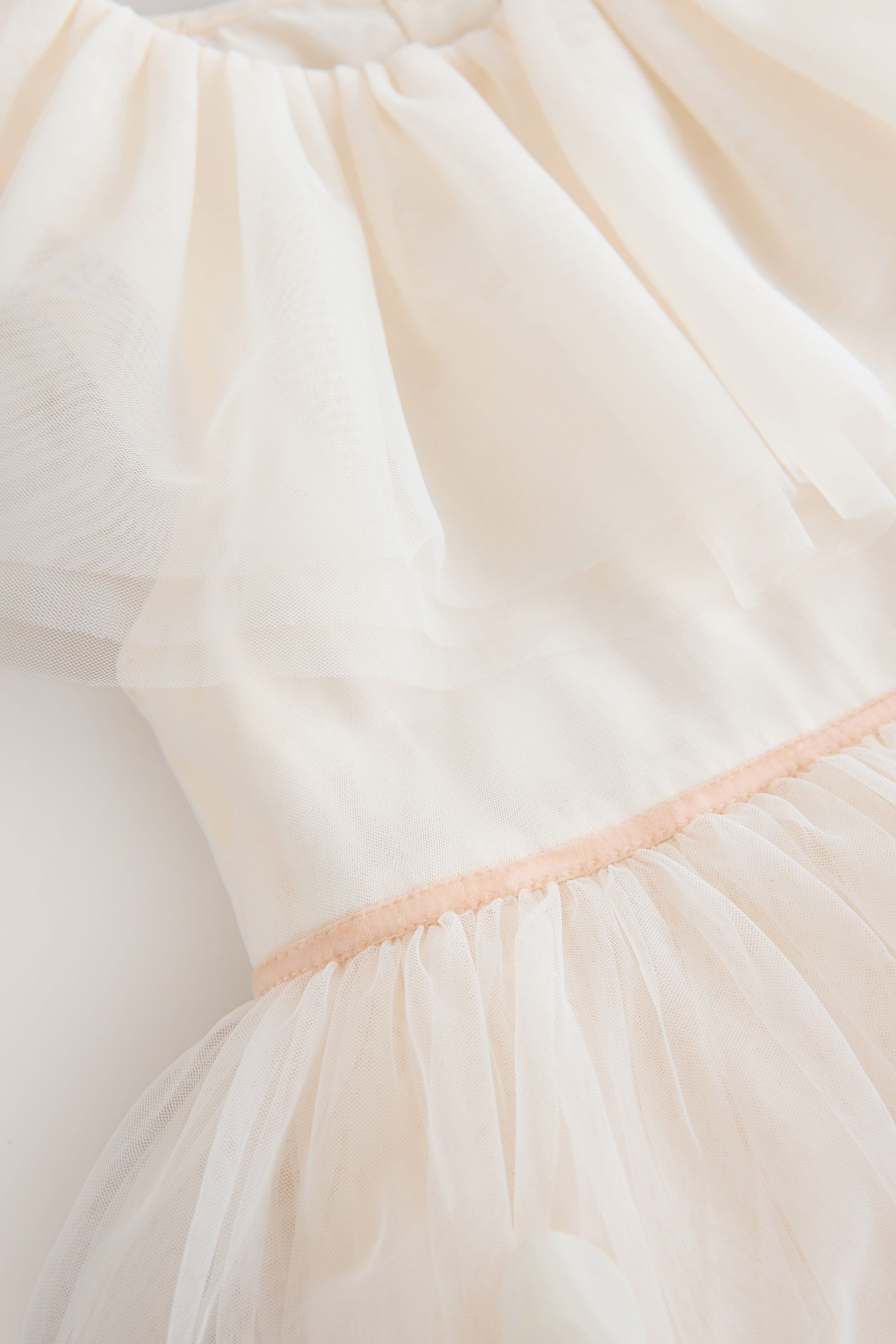 Next Tüllkleid Mesh-Kleid mit Rüschenkragen (1-tlg)