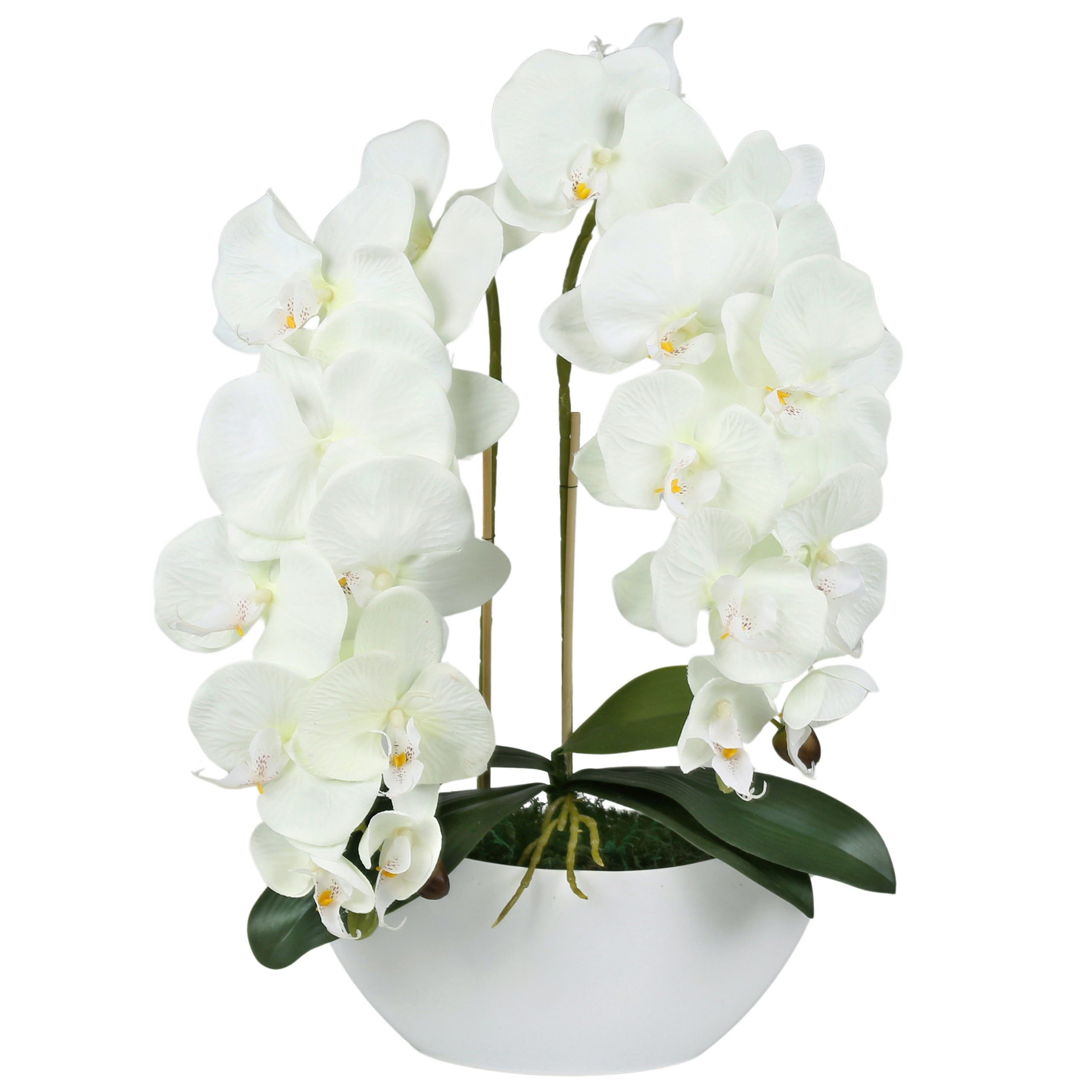 Kunstorchidee Künstliche Orchidee im Topf, ecru, wie lebendig, 2 Stiele 53 cm, Sarcia.eu