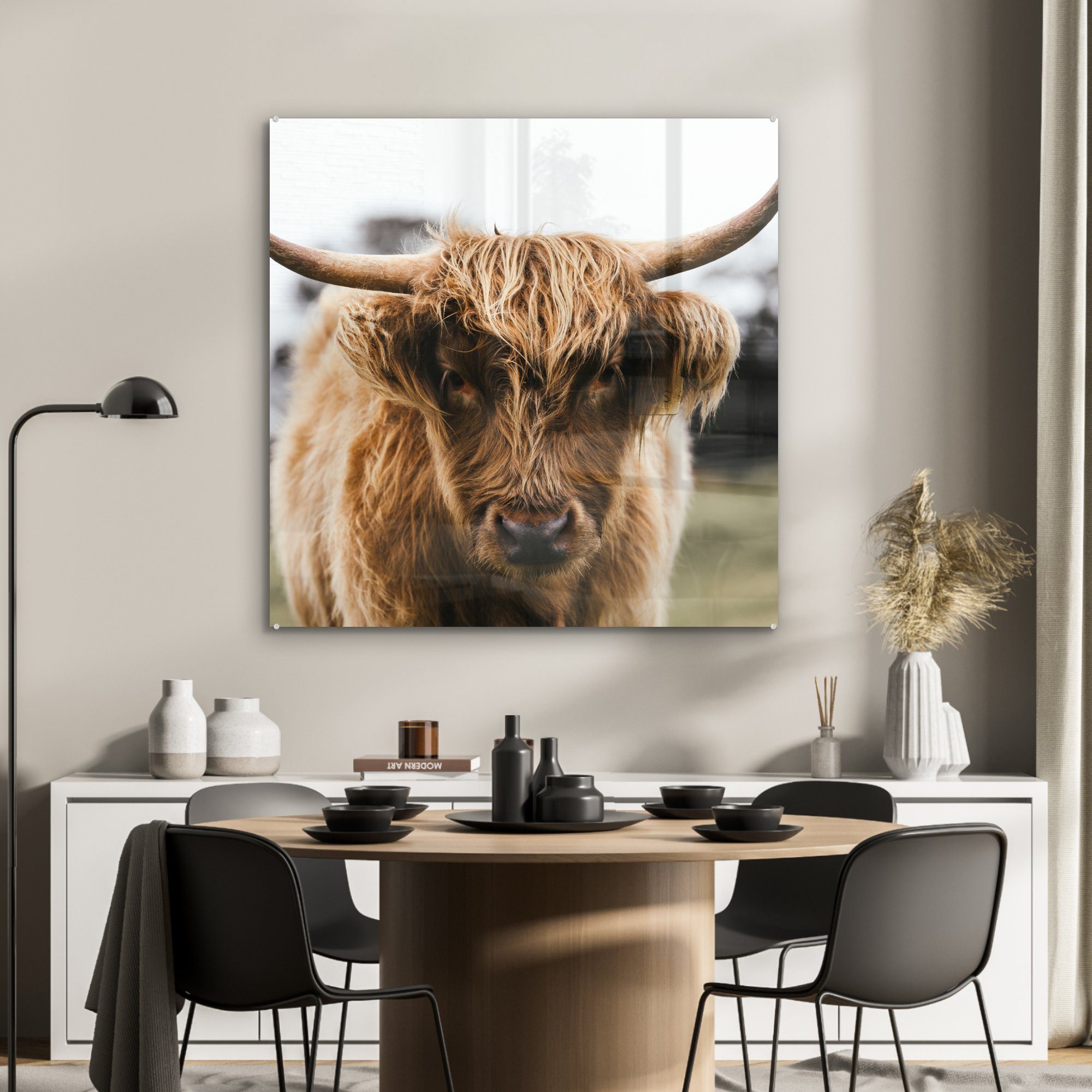 St), Acrylglasbild Gras & Glas Wohnzimmer MuchoWow Küche - Schottischer Highlander - (1 Tiere für Natur, Kuh auf Dekorative - - Bild