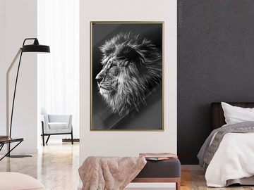 Artgeist Poster Blue-eyed Lion