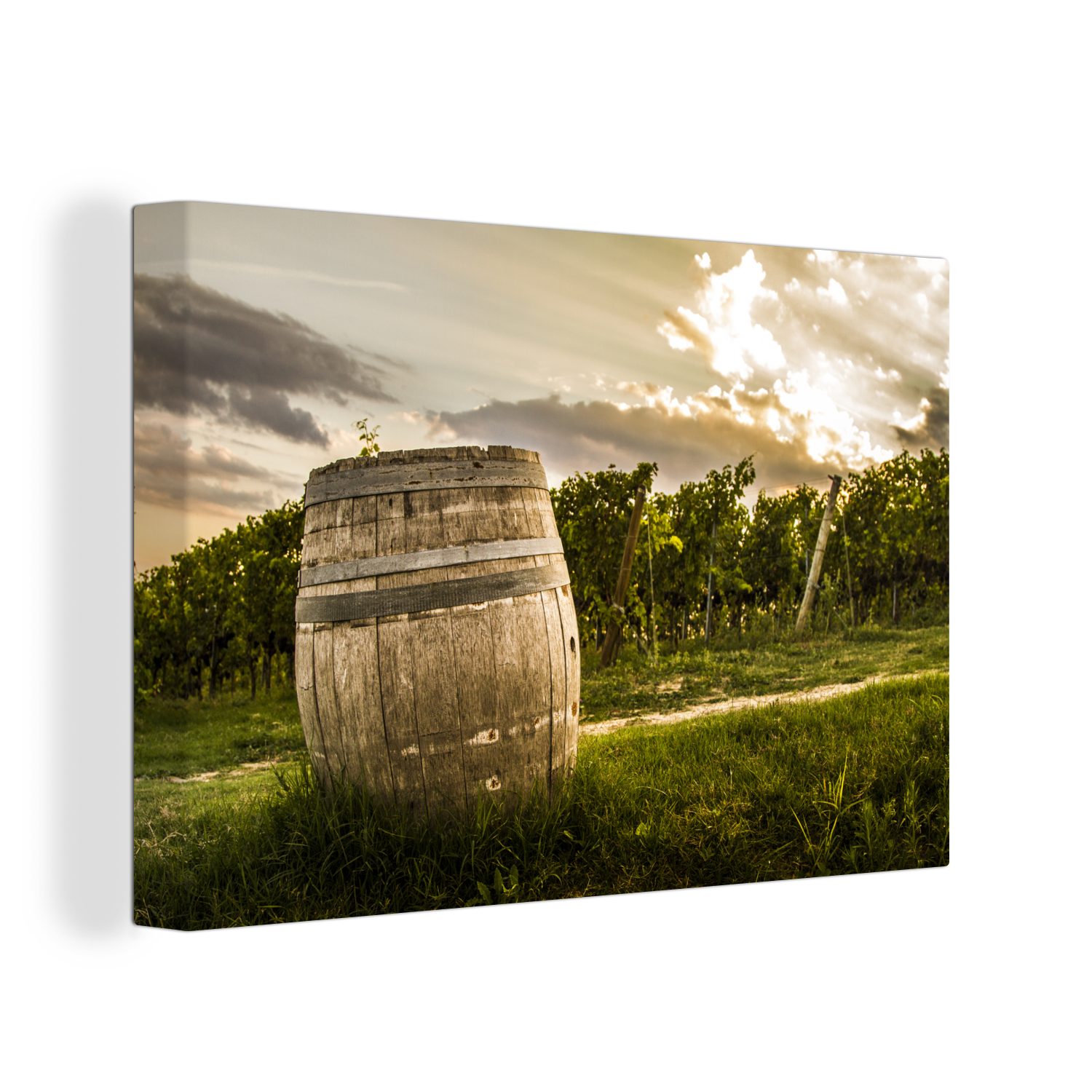 OneMillionCanvasses® Leinwandbild Tonnen in einem Weinberg, (1 St), Wandbild Leinwandbilder, Aufhängefertig, Wanddeko, 30x20 cm