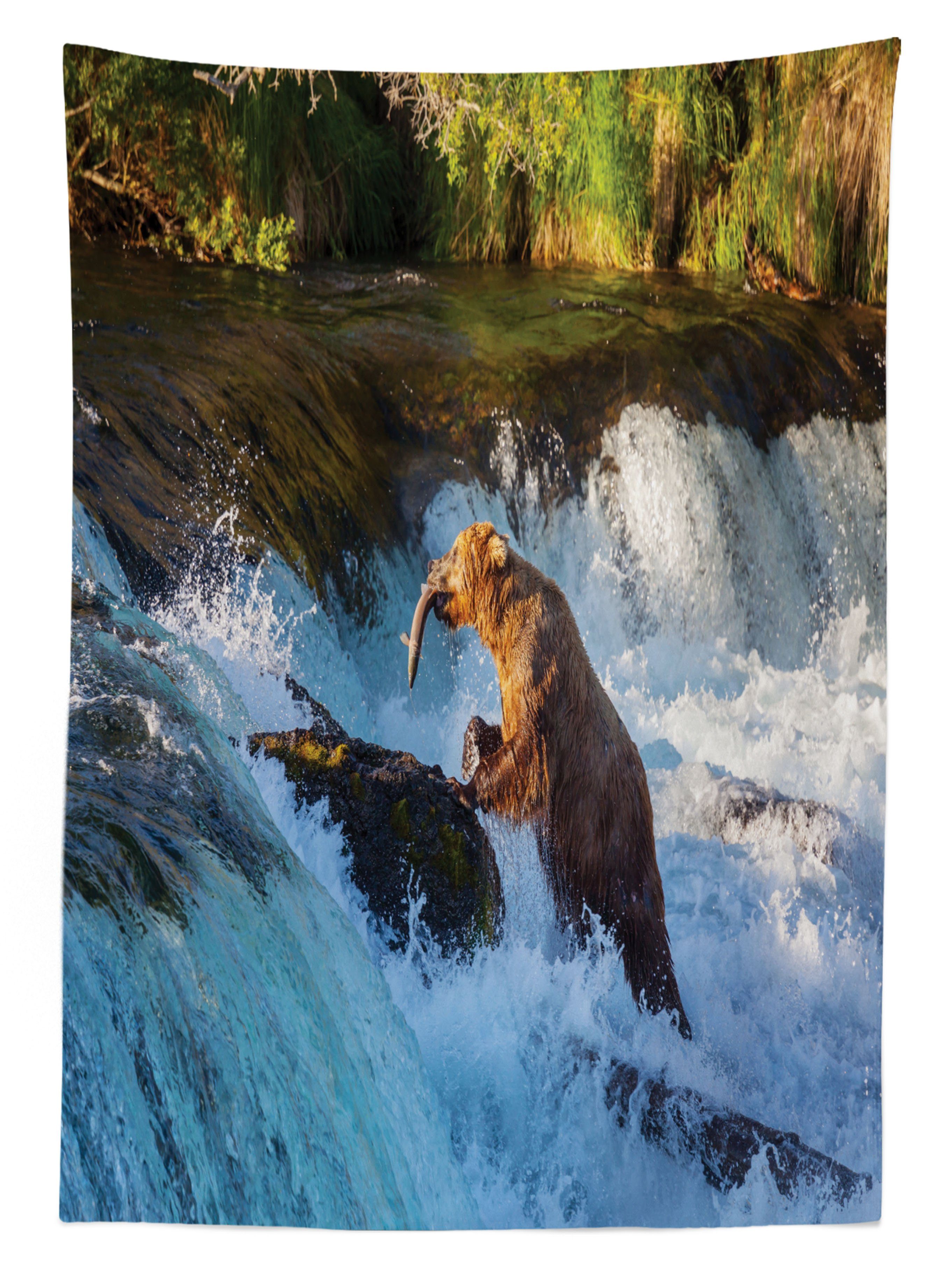wildlfie Klare Alaska Außen Abakuhaus Waschbar Bär den geeignet Wasserfall Bereich Farben, Für Tischdecke Farbfest