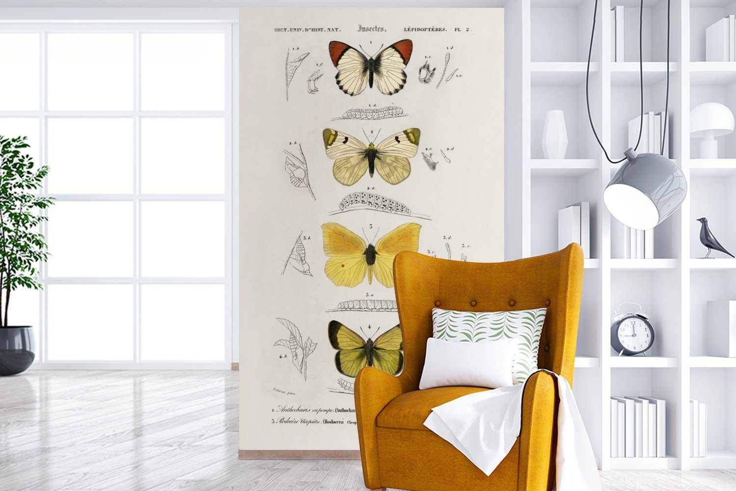- Kinderzimmer, Wallpaper Vintage Vinyl bedruckt, Schlafzimmer, Matt, für Wohnzimmer, - Tapete Insekten, (3 Fototapete St), MuchoWow Schmetterling