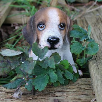 colourliving Tierfigur Beagle Figur sitzend Beagle Hundefigur lebensecht Deko Hundefigur (1x sitzend), handbemalt, wetterfest, lebensecht wirkend
