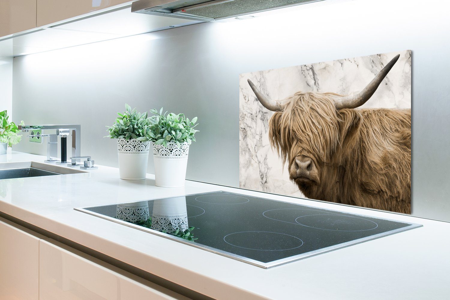 Tiere, aus Highlander - cm, Schottischer MuchoWow küchen Küchenrückwand (1-tlg), 60x40 Wandschutz, Herdblende Marmor Temperaturbeständig -
