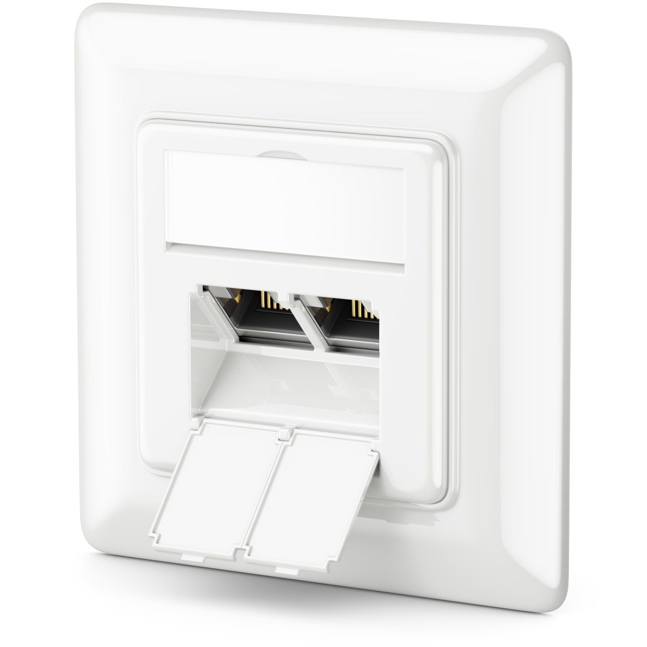deleyCON 1x CAT6a Netzwerkdose 2x RJ45 Buchse Geschirmt Unterputz Netzwerk-Adapter