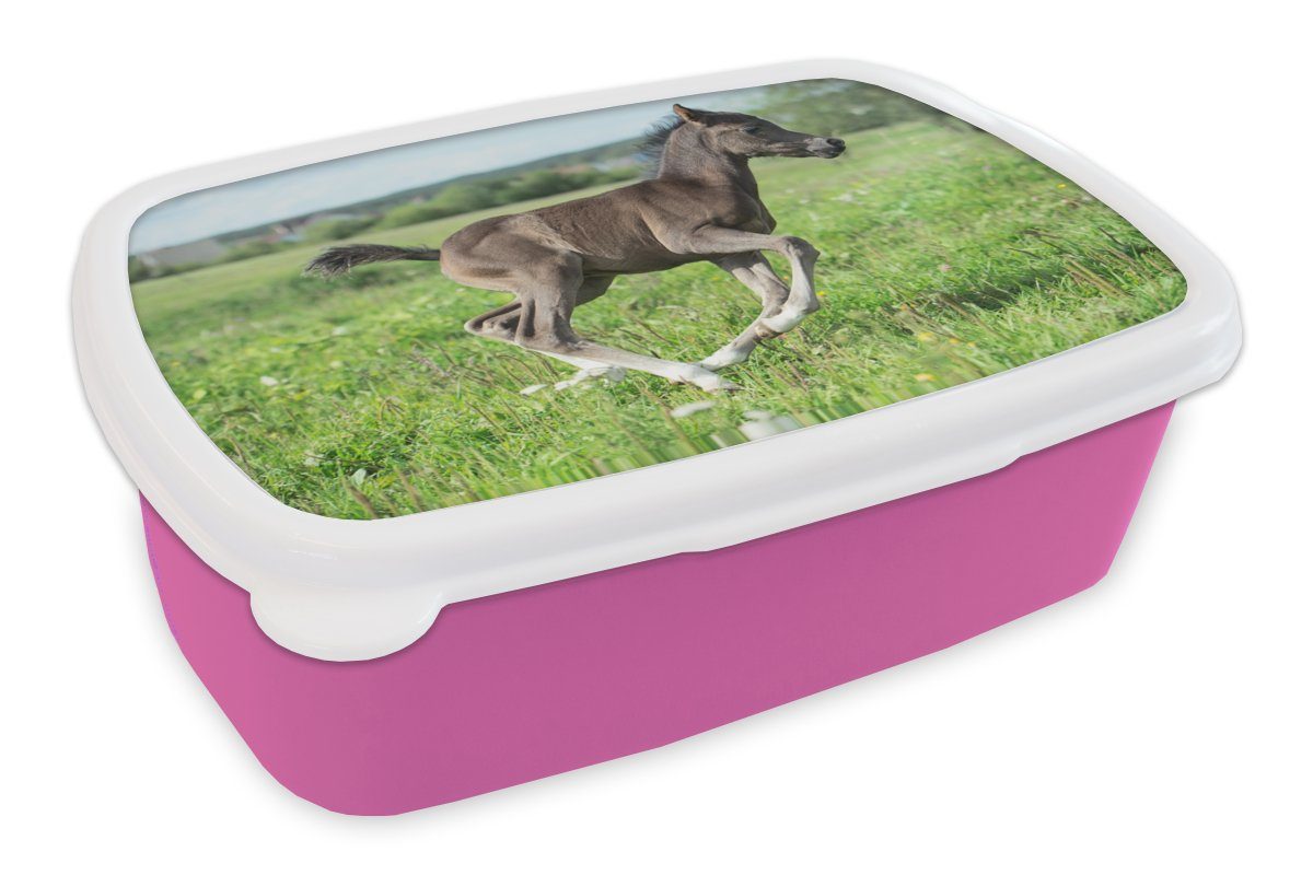 MuchoWow Lunchbox Pferd - Blumen - Gras, Kunststoff, (2-tlg), Brotbox für Erwachsene, Brotdose Kinder, Snackbox, Mädchen, Kunststoff rosa