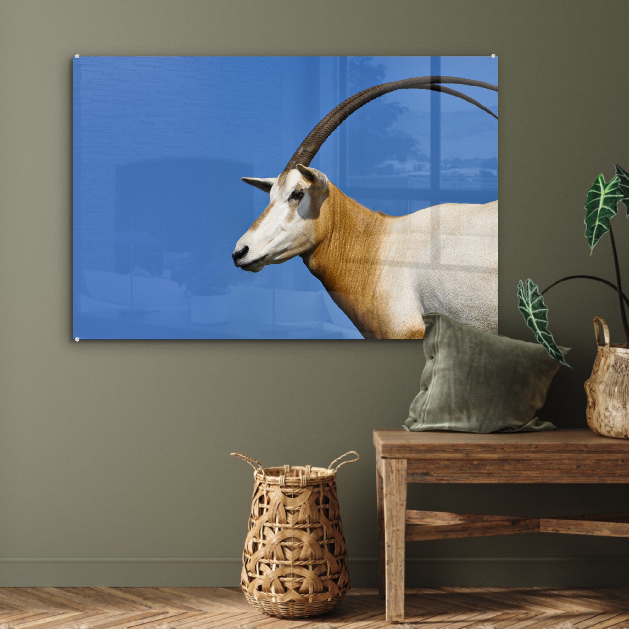 MuchoWow Acrylglasbild Ziege, St), Schlafzimmer Acrylglasbilder (1 - - Wohnzimmer Horn & Tier