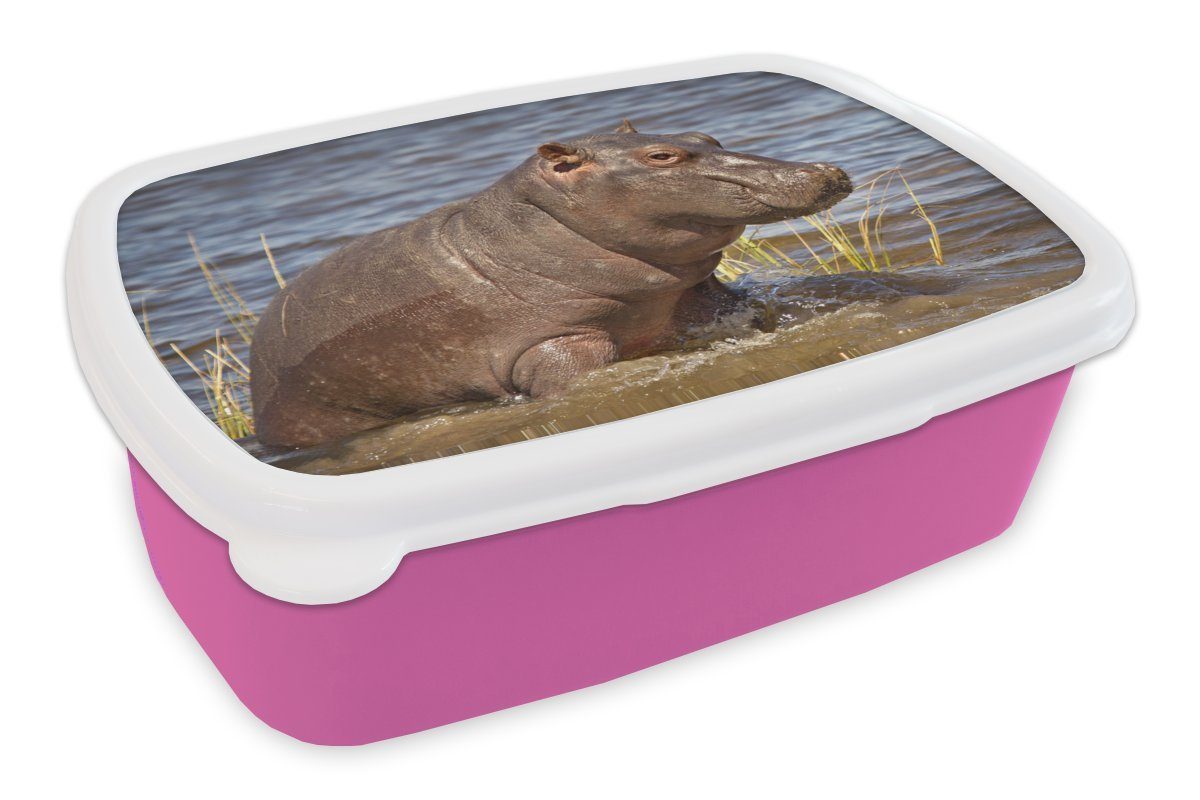 MuchoWow Lunchbox Nilpferd - Wasser - Kalb, Kunststoff, (2-tlg), Brotbox für Erwachsene, Brotdose Kinder, Snackbox, Mädchen, Kunststoff rosa