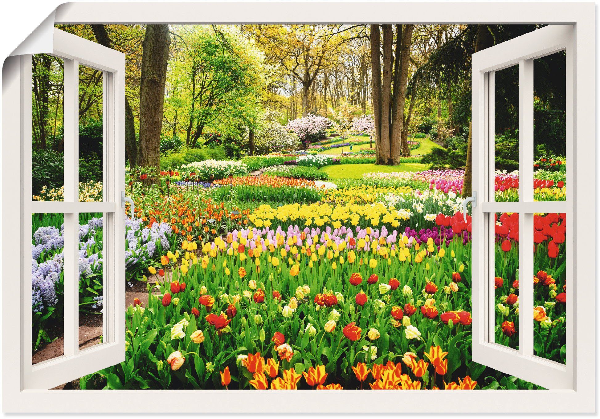 Artland Wandbild Fensterblick Tulpen Garten Frühling, Fensterblick (1 St), als Leinwandbild, Poster in verschied. Größen