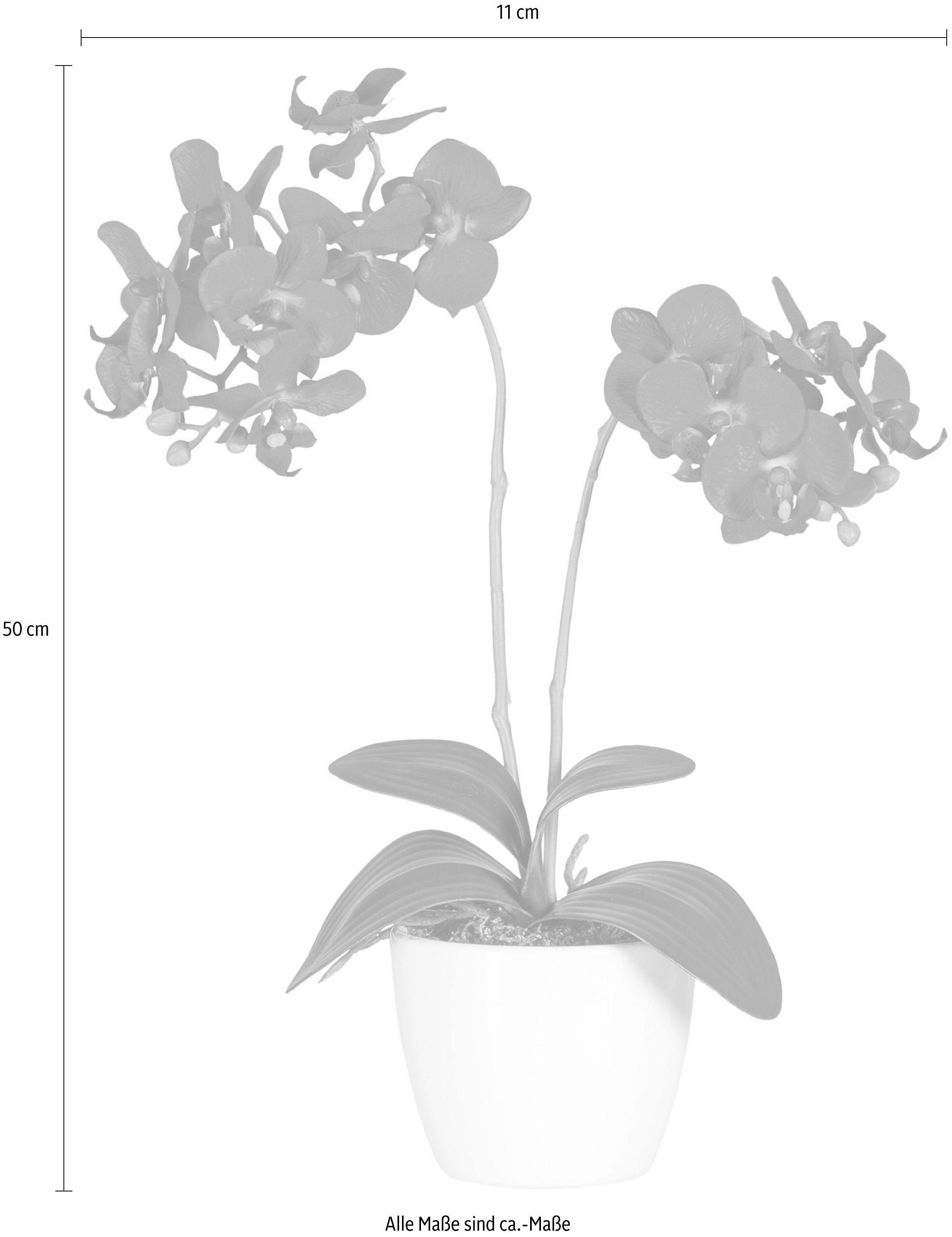 Kunstpflanze Phalaenopsis Orchidee, Creativ green, Höhe 50 cm