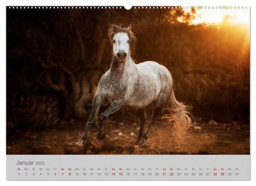 CALVENDO Wandkalender Pferde - Anmut, Eleganz, Magie (Premium, hochwertiger DIN A2 Wandkalender 2023, Kunstdruck in Hochglanz)