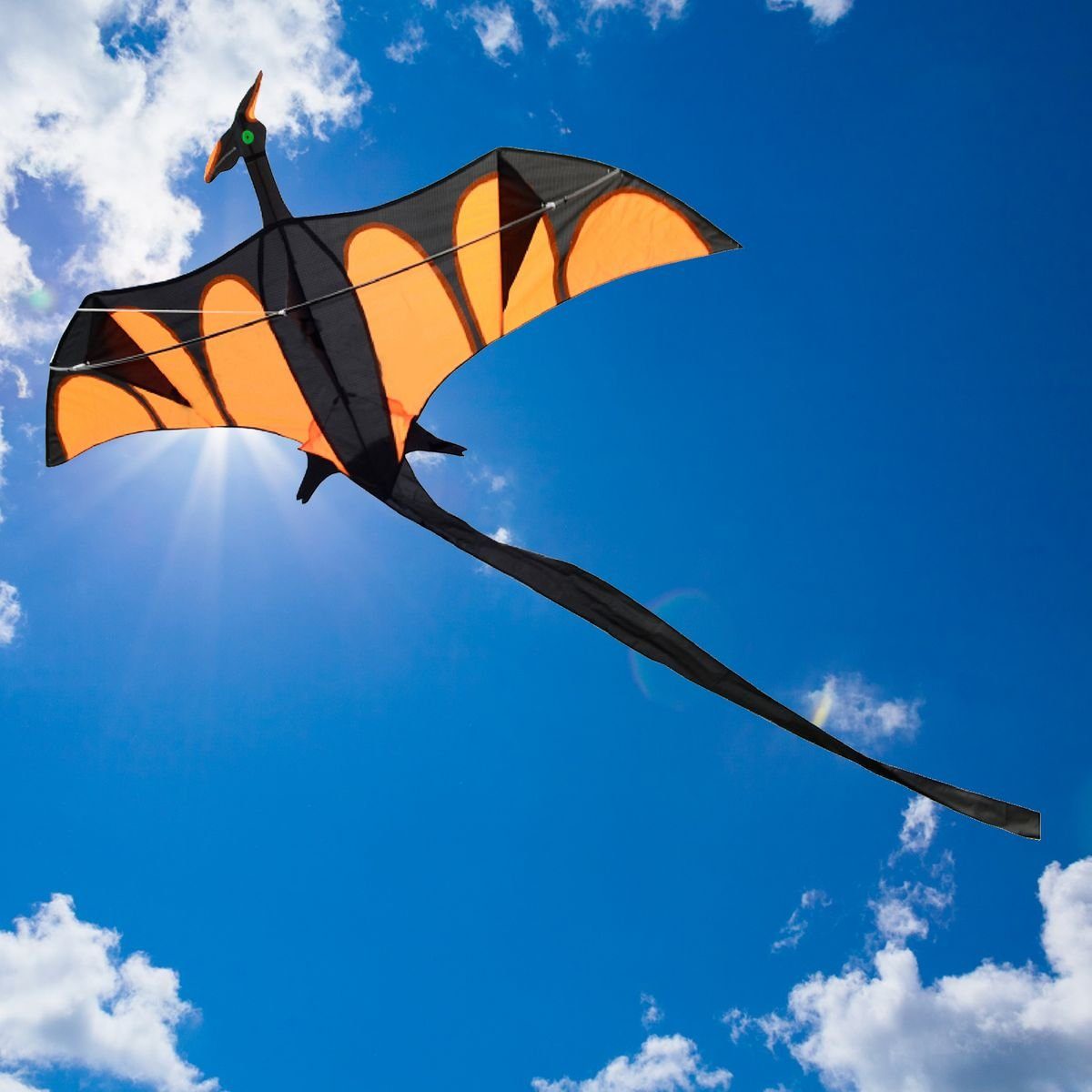 AIROW KITES Flug-Drache Aero mit XXL Schwanz 4mm Fiberglasgestänge Größe 170x90 cm