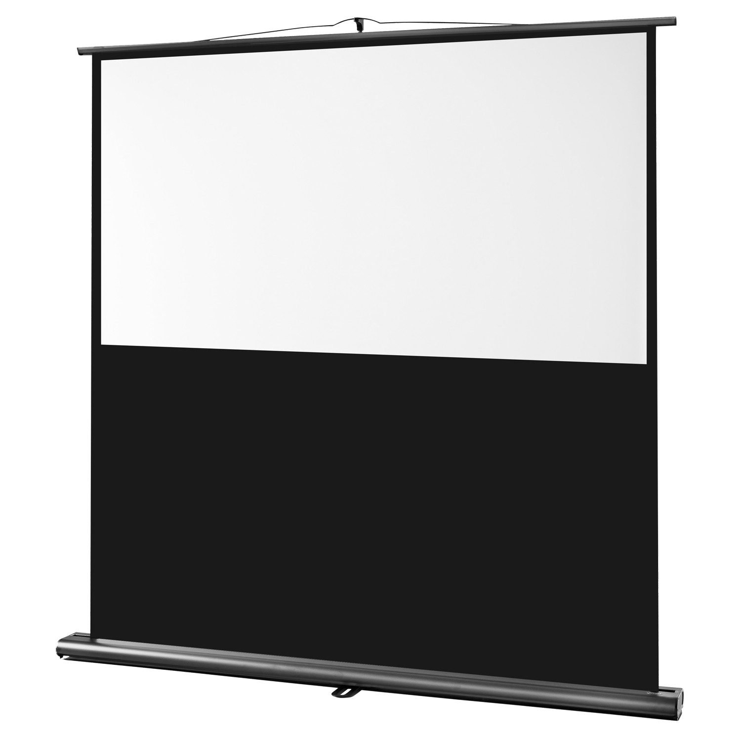 Celexon Professional Pull-Up-Leinwand (schwarze Rückseite)