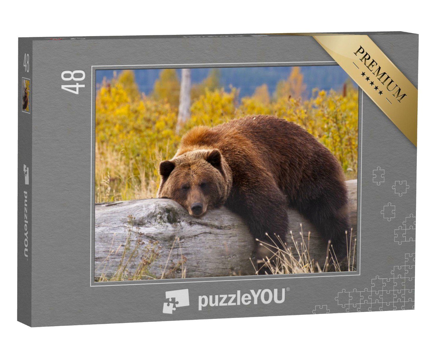 puzzleYOU Puzzle Grizzlybär, Alaska, 48 Puzzleteile, puzzleYOU-Kollektionen Bären, Grizzlys, Raubtiere, Braunbären