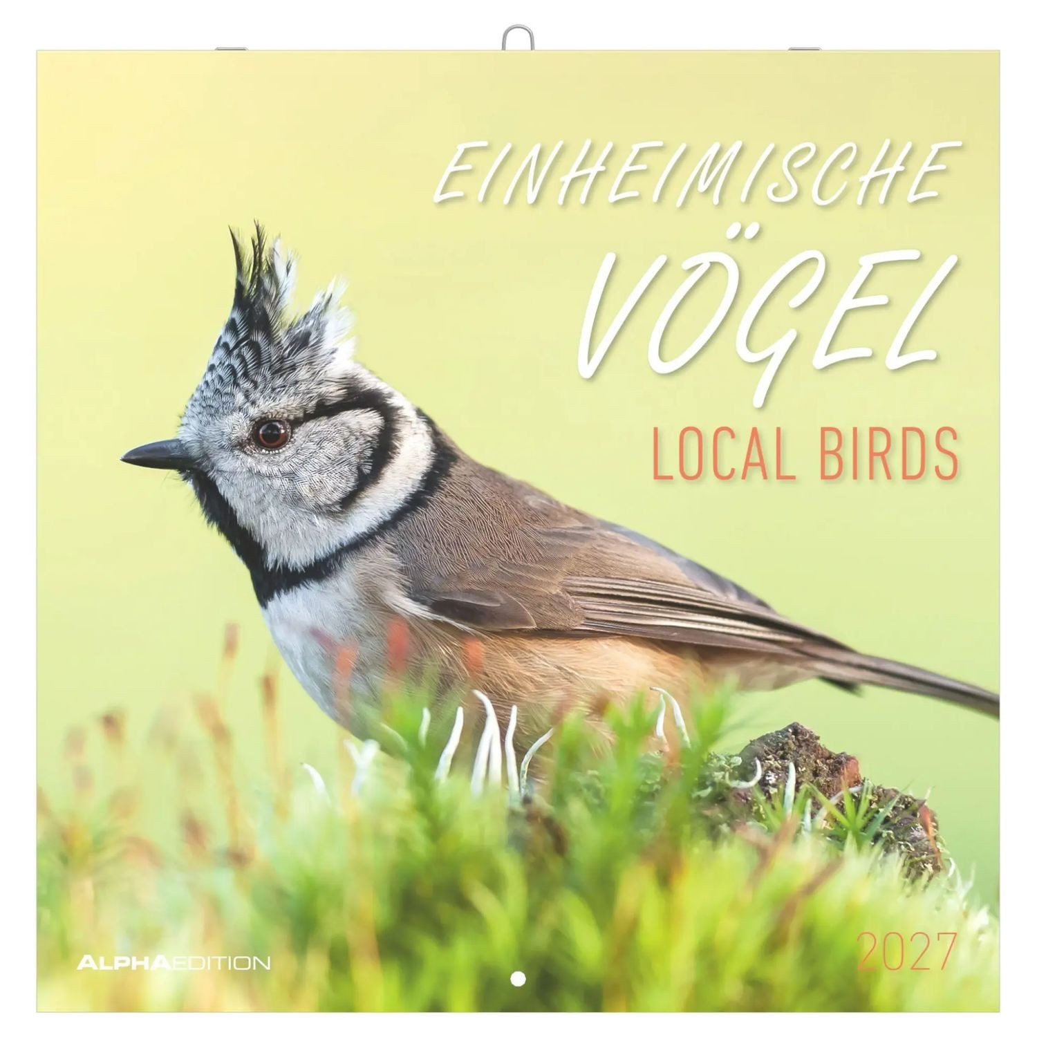 Wandkalender Einheimische Vögel 2027