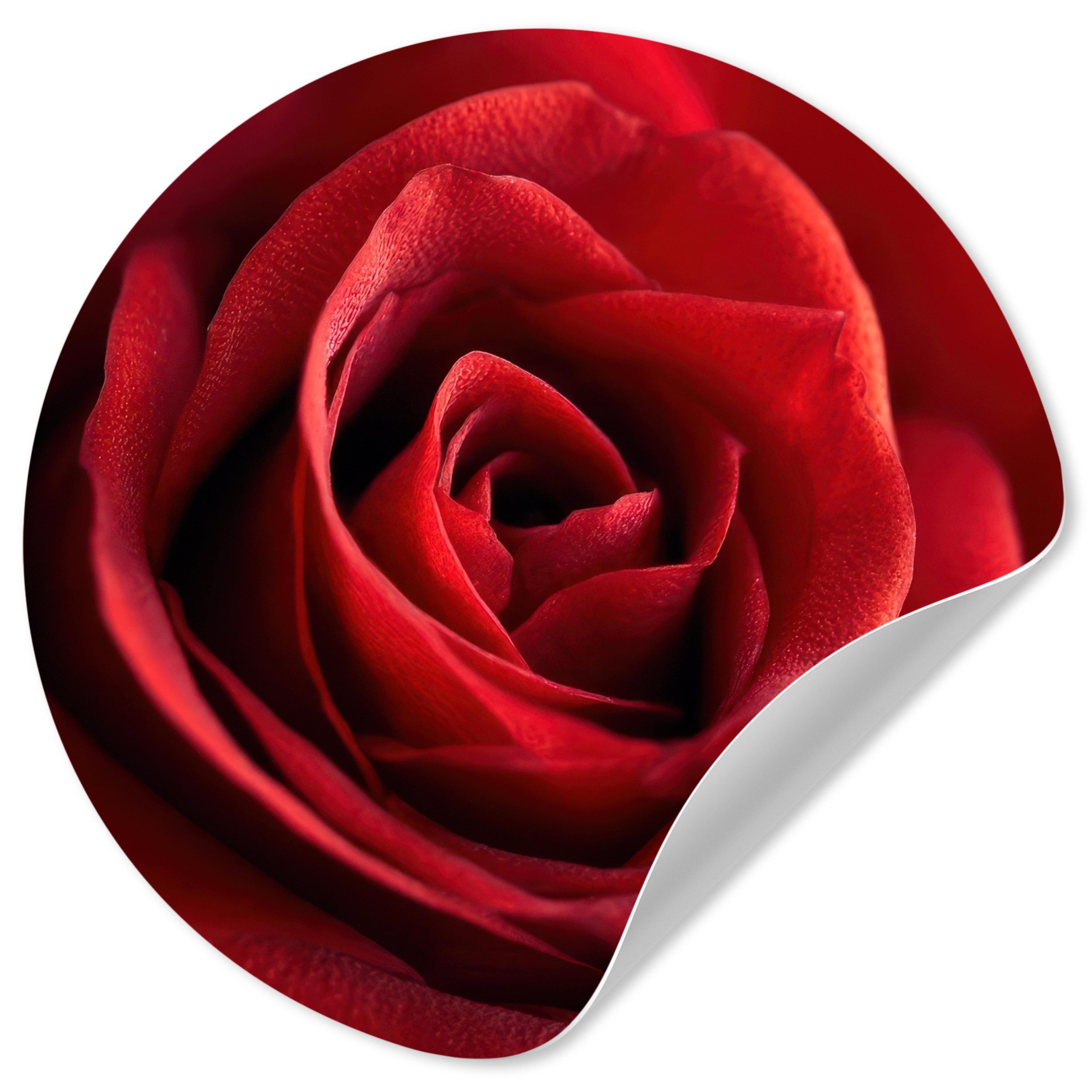 MuchoWow Wandsticker Rot - Rose - Romantisch (1 St), Wandtattoo Selbstklebend, Wohnzimmer Deko Aufkleber, 30x30 cm