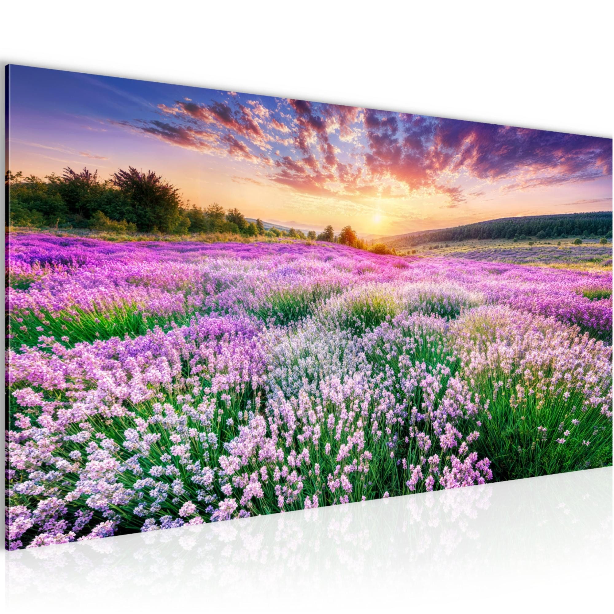 Runa Art XXL-Wandbild Blumen 100 x40 cm Bild Vlies Wohnzimmer Schlafzimmer Deko, Lavendel