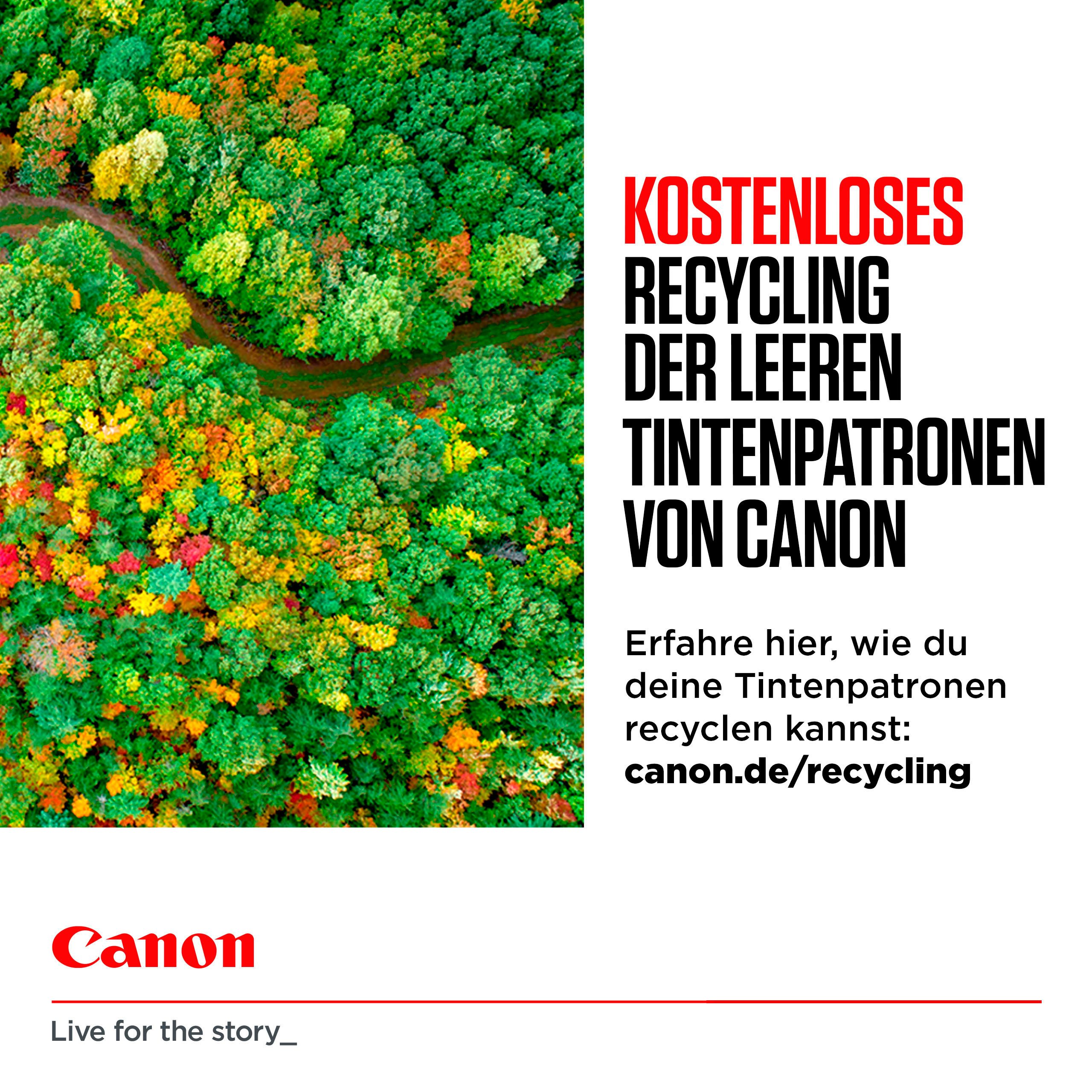 Canon CLI-36 CL (Doppelpack) Tintenpatrone (Packung, 2-tlg)