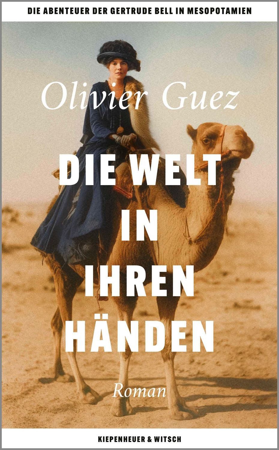 Die Welt in ihren Händen / Olivier Guez