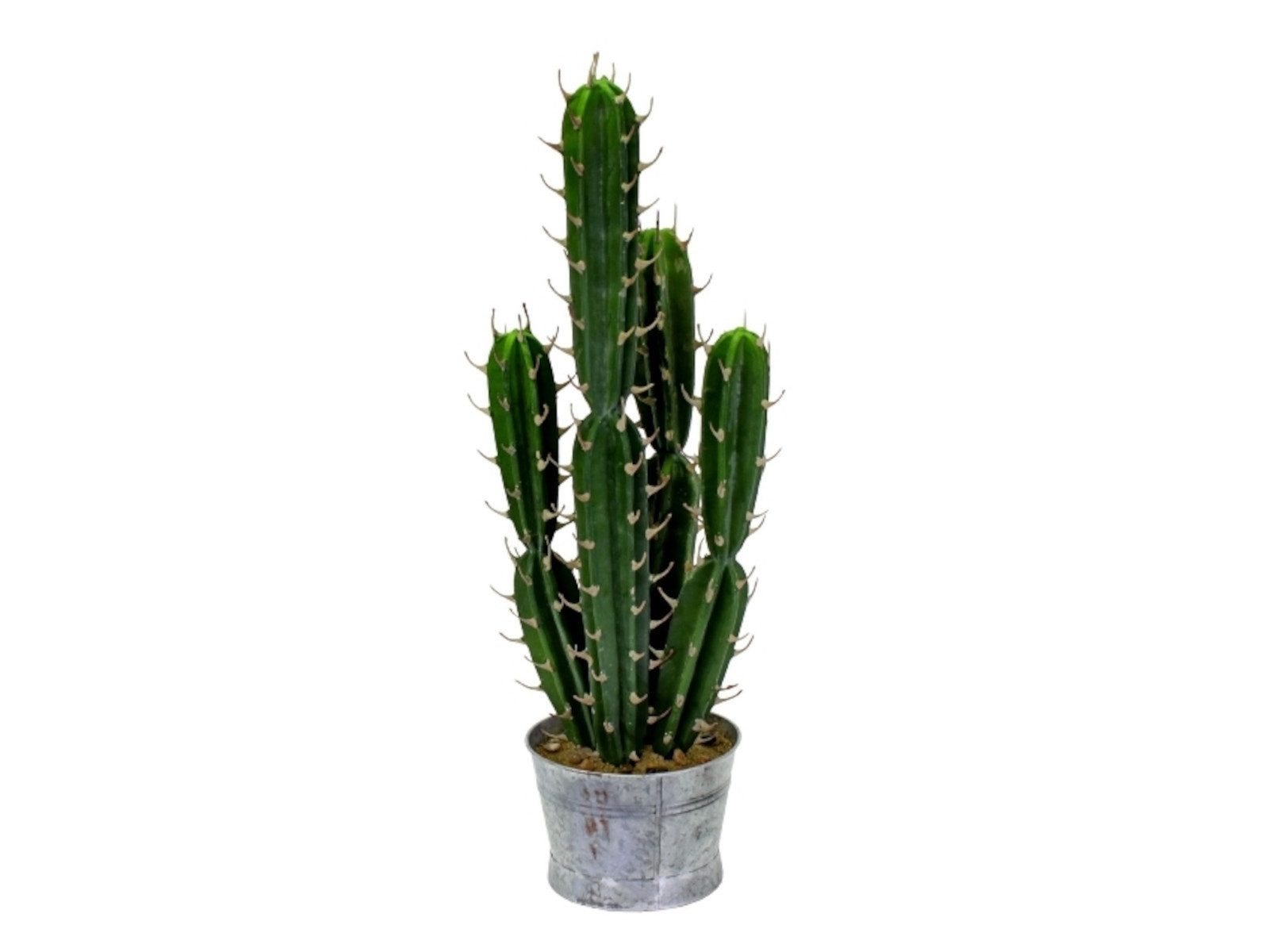 Werner Voß Dekofigur Kaktus im Zinktopf 18 x 68 cm