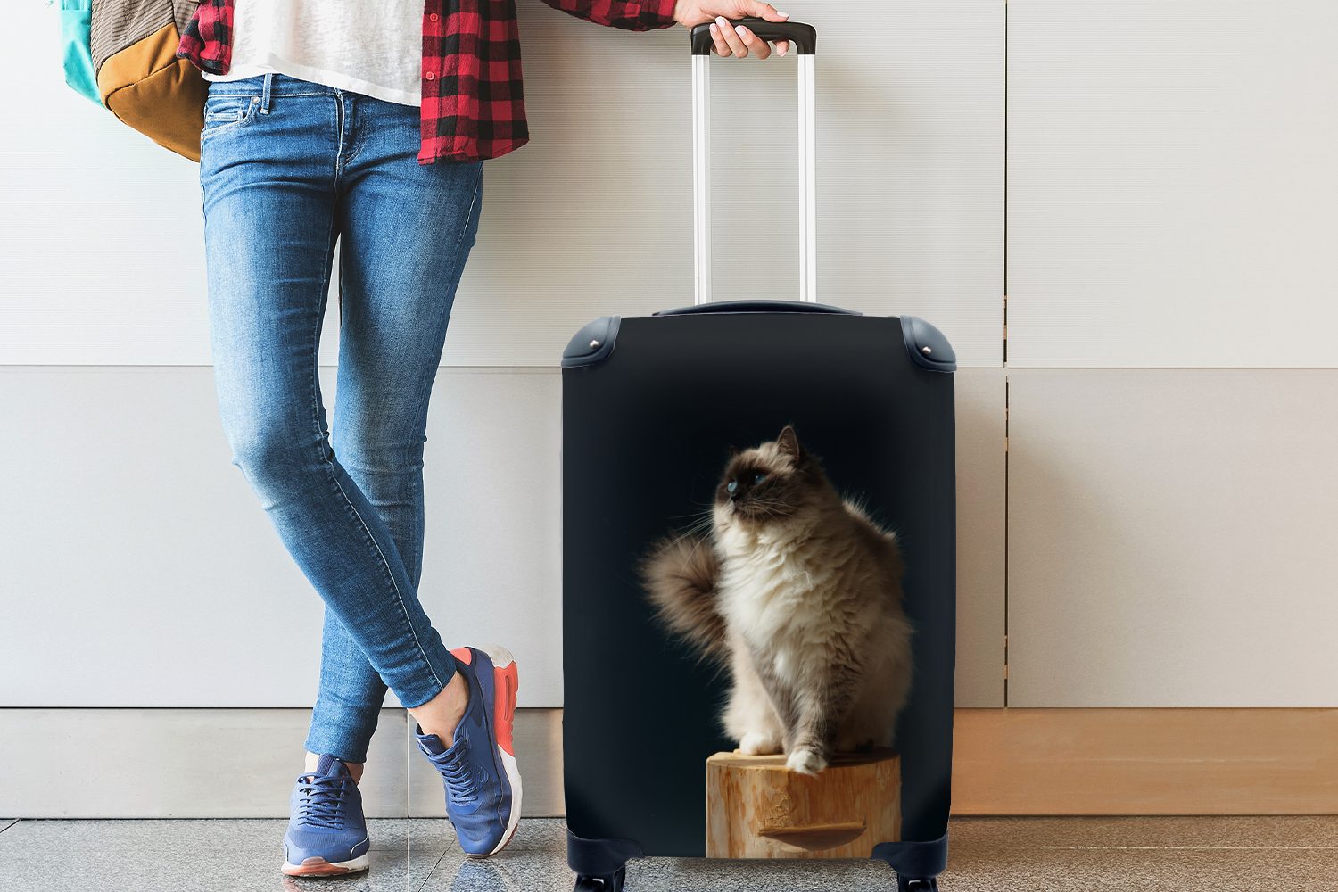 Rollen, 4 Ferien, für auf rollen, Ragdoll-Katze Reisetasche einer Reisekoffer Handgepäckkoffer Handgepäck MuchoWow Stange, mit Eine Trolley, sitzt