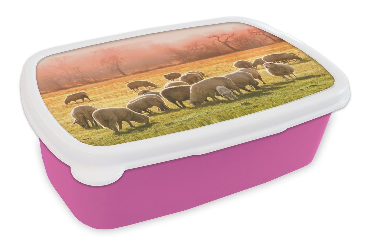 Mädchen, Gras, Kunststoff Tiere - Kunststoff, Schafe Erwachsene, MuchoWow (2-tlg), Snackbox, Brotdose Brotbox Lunchbox rosa Kinder, - für