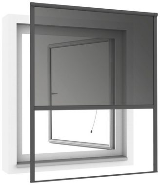 Insektenschutzrollo, Windhager, transparent, verschraubt, BxH: 130x160 cm
