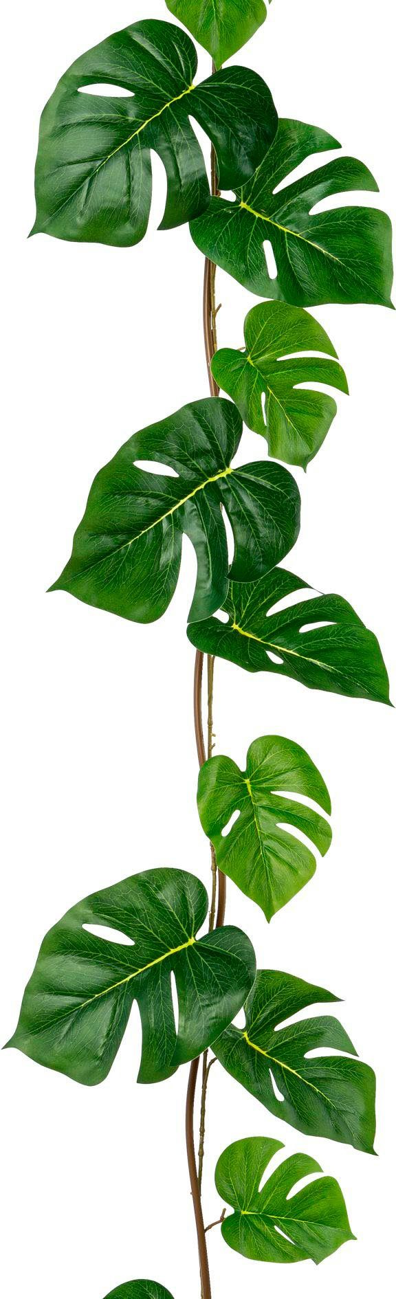 Kunstgirlande Split-Philodendron-Girlande Grünpflanze, Creativ green günstig online kaufen