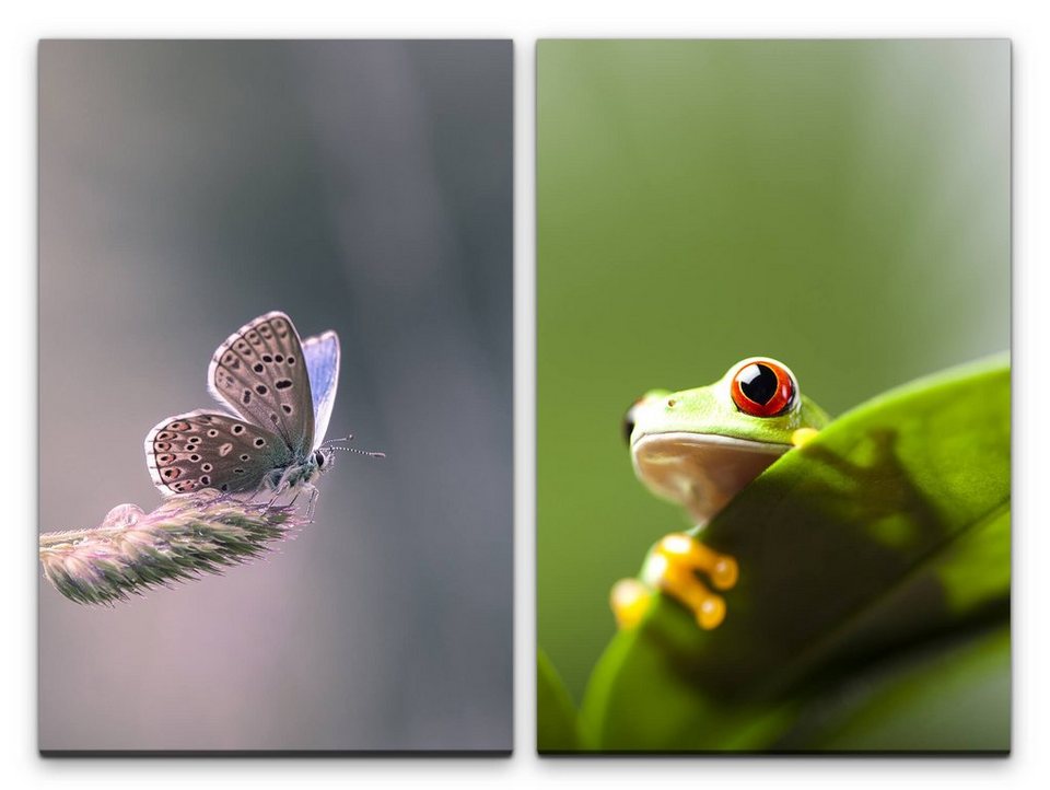 Sinus Art Leinwandbild »2 Bilder je 60x90cm Schmetterling Sinus Art Leinwandbild »2 Bilder je 60x90cm Schmetterling