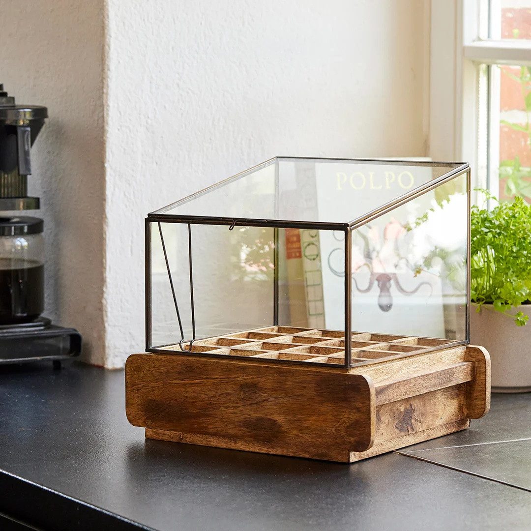 Die Stadtgärtner Anzuchttopf Anzucht-& Kräutergewächshaus, Dekoratives Zimmergewächshaus 16 Fächer, Komplett montiert